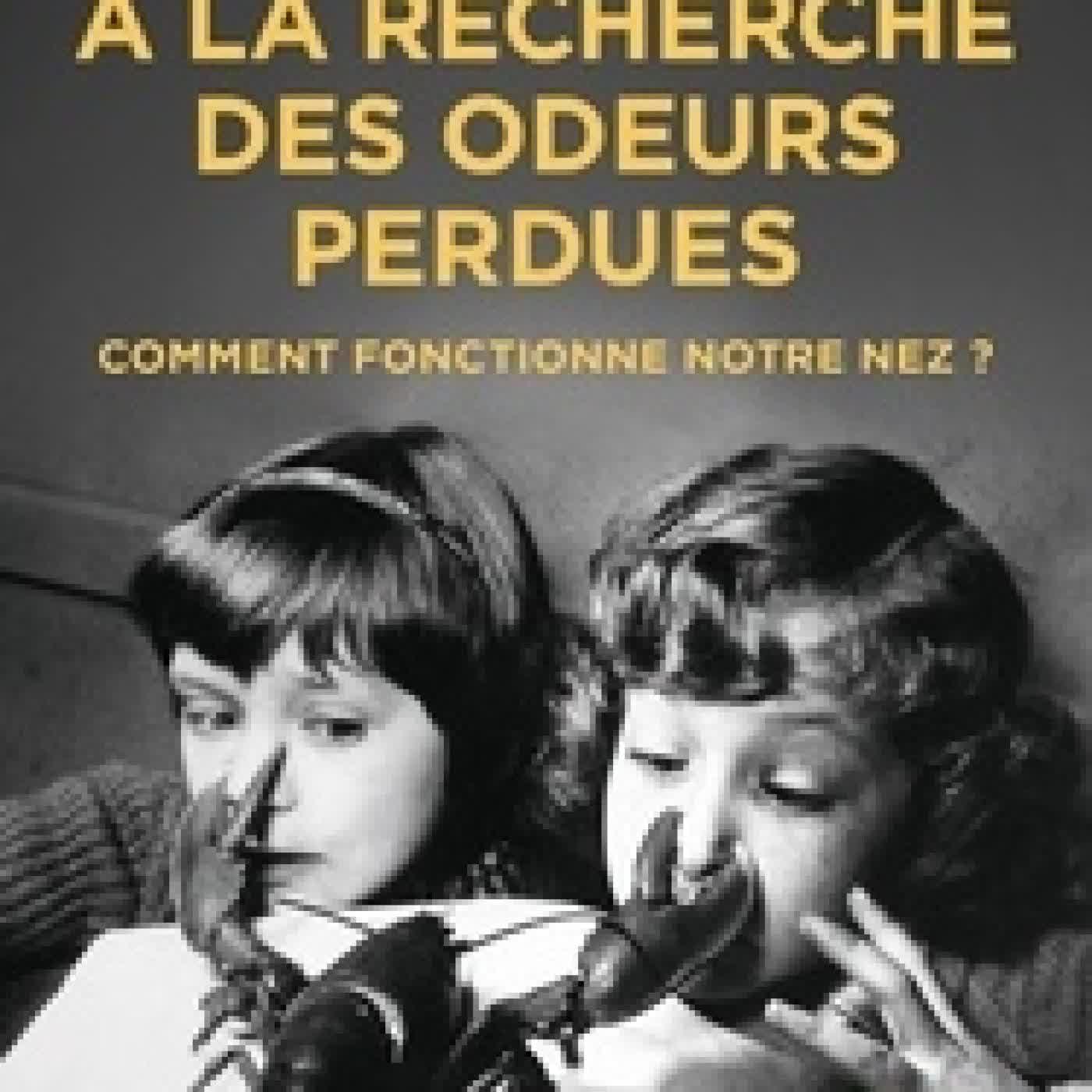 Lire en ligne : A la recherche des odeurs perdues. Comment fonctionne notre nez ?