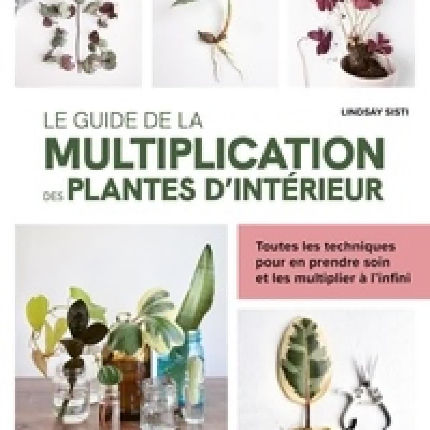 Télécharger Pdf Le guide de la multiplication des plantes d'intérieur. Toutes les techniques pour en prendre soin et les multiplier à l'infini