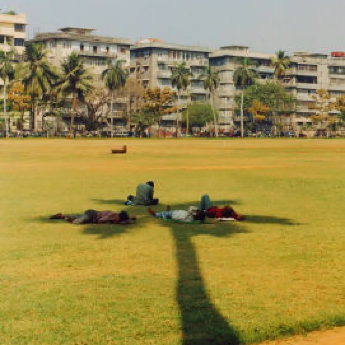 Read online: Shade: The Promise of a Forgotten Natural Resource by Sam Bloch