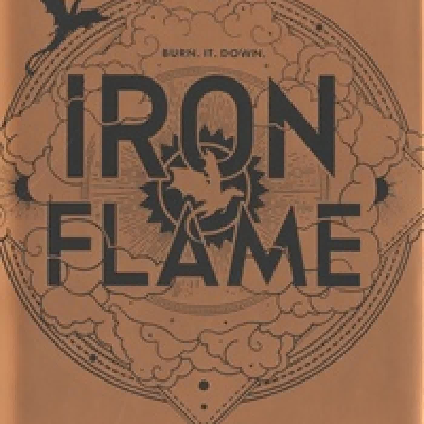 Lire en ligne : Iron Flame
