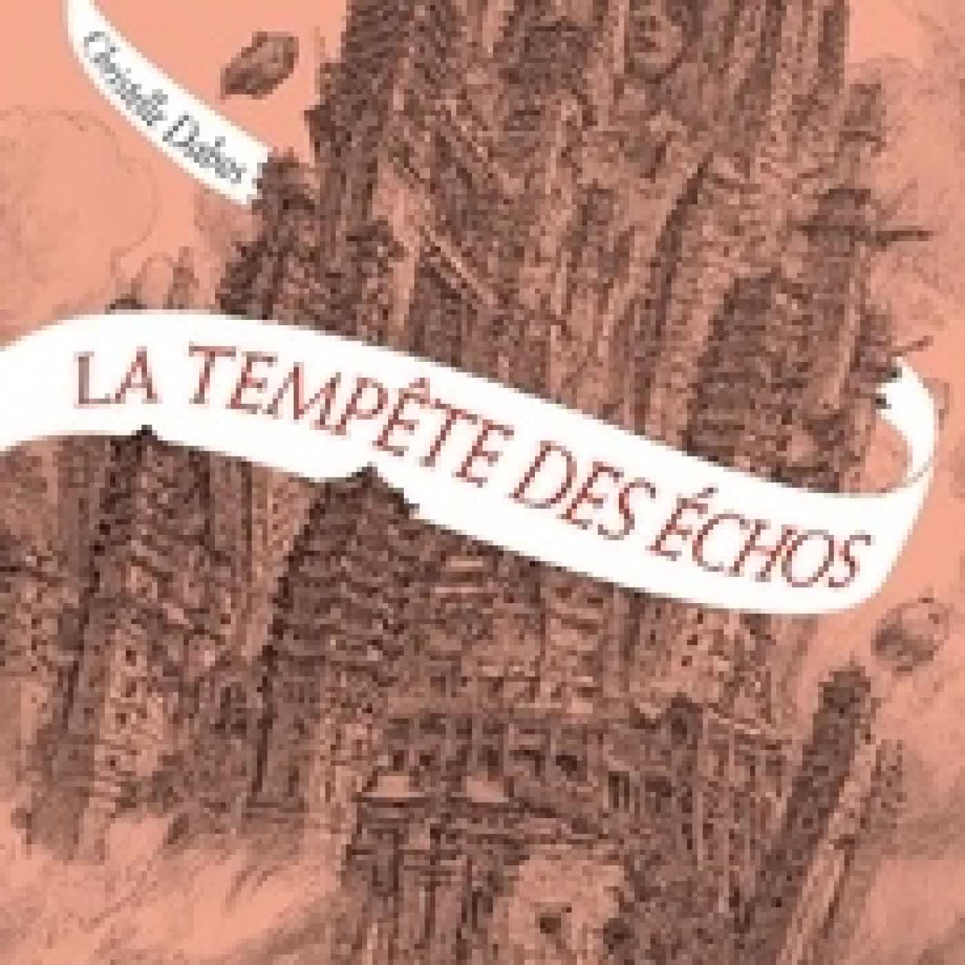 Lire en ligne : La Passe-miroir Tome 4