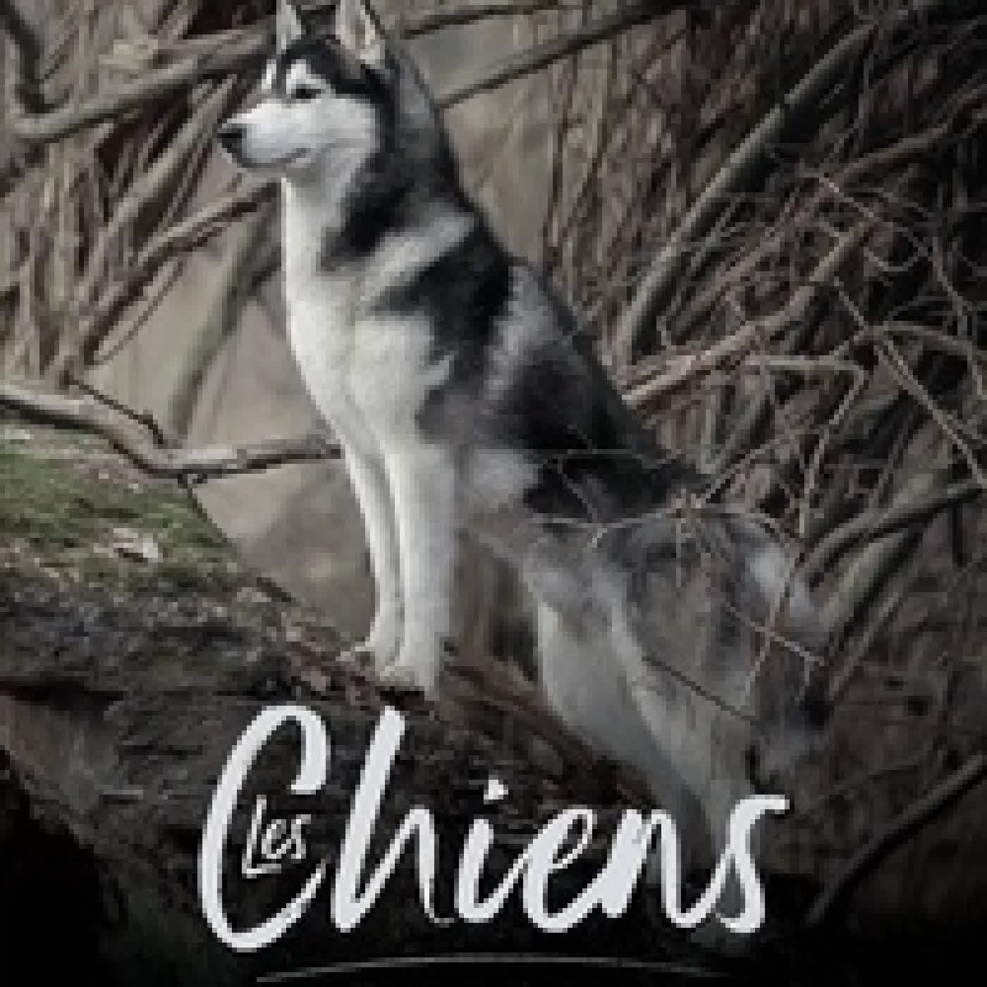 Télécharger Pdf Les chiens - Fidèles et courageux