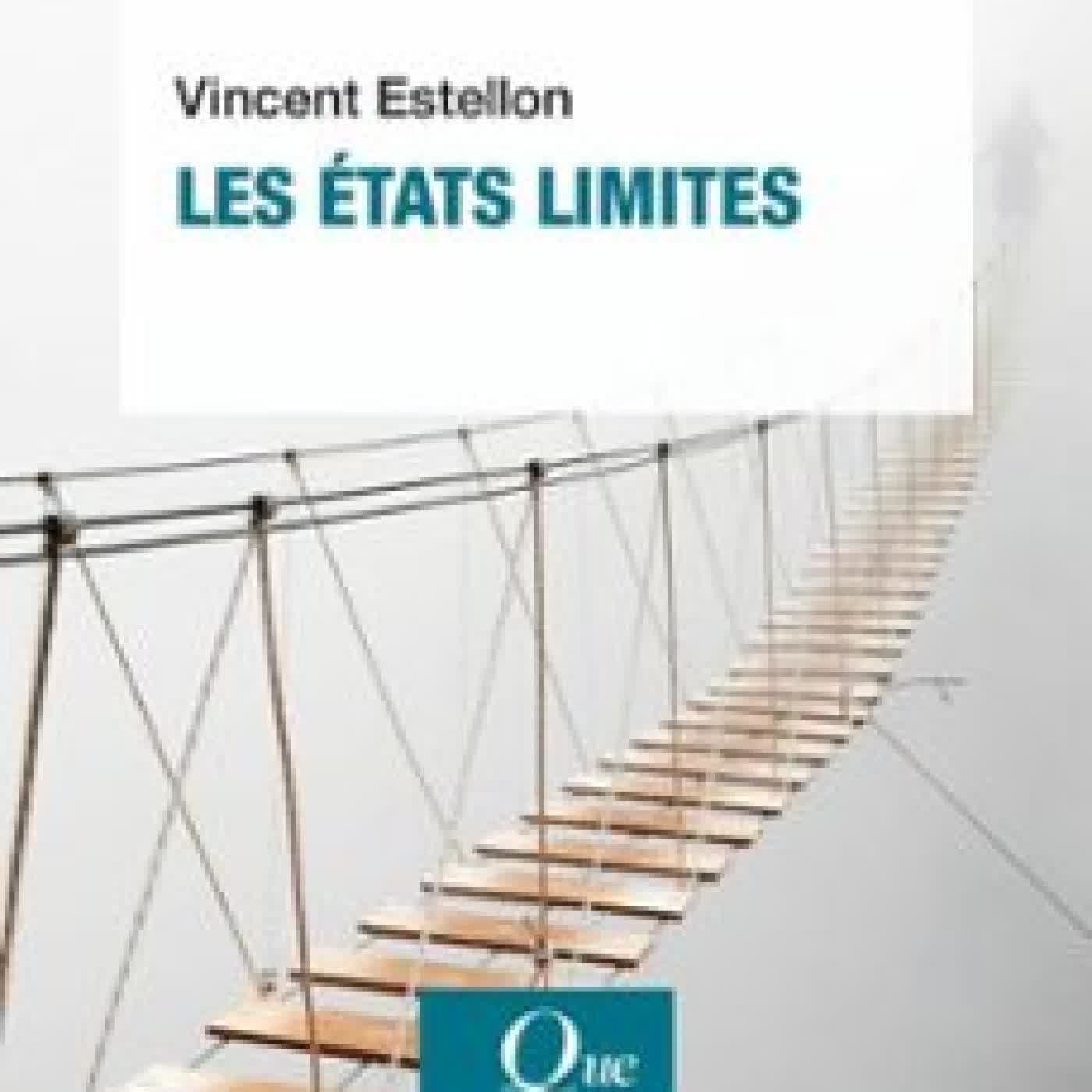 LES ÉTATS LIMITES VINCENT ESTELLON