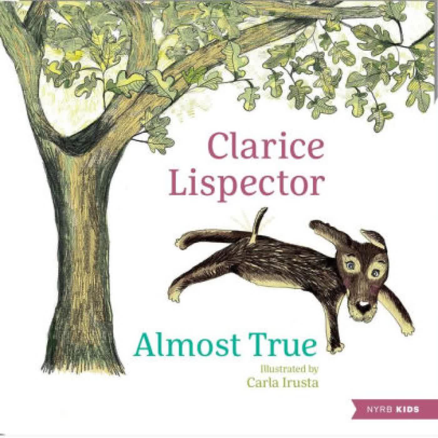 Almost True by Clarice Lispector, Carla Irusta, Benjamin Moser on Iphone New Format