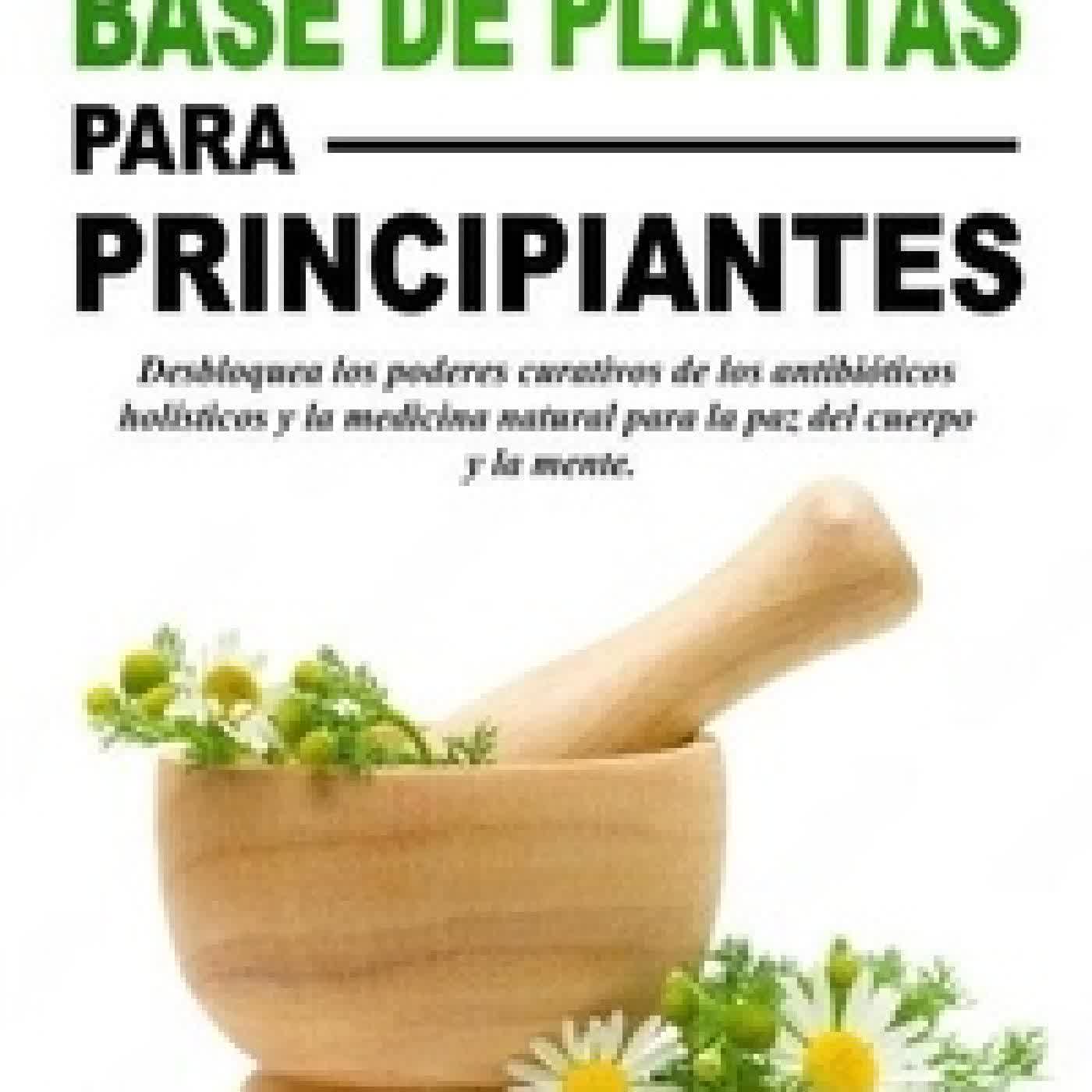 Lire en ligne : Remedios a base de plantas para principiantes Desbloquea los poderes curativos de los antibióticos holísticos y la medicina natural para la paz del cuerpo y la mente.