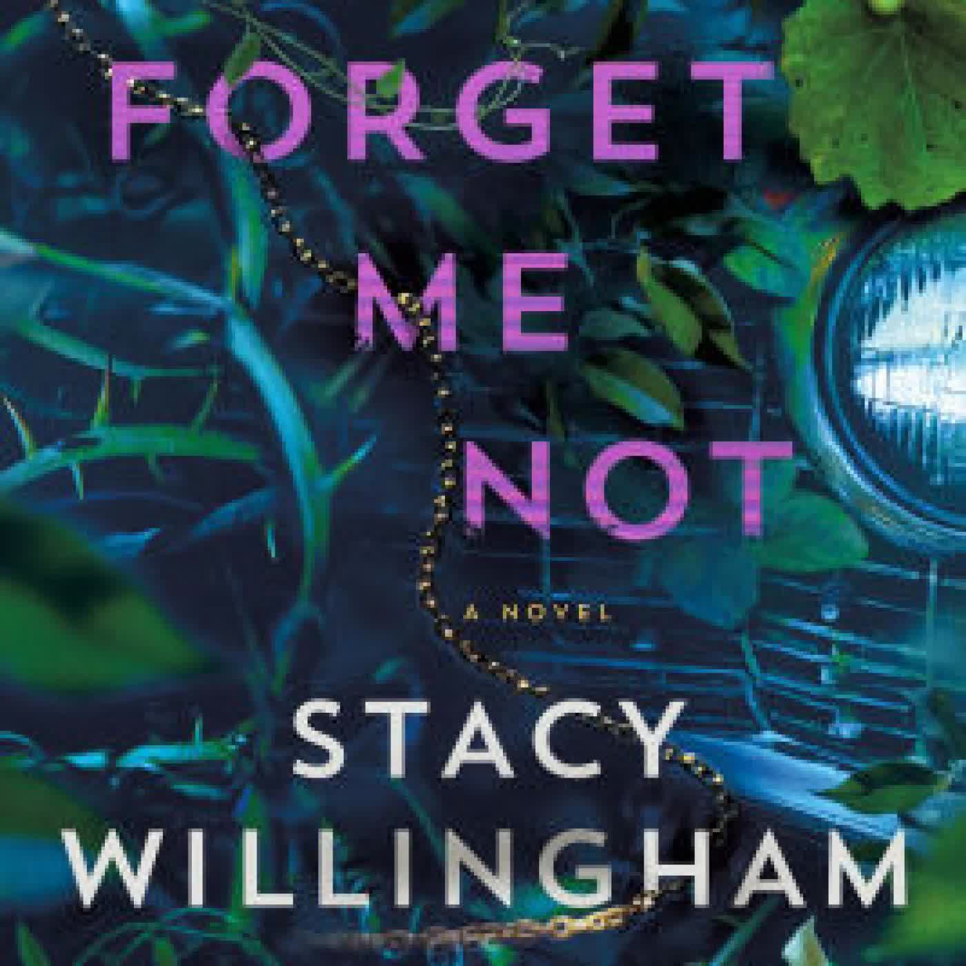 Read online: Forget Me Not: A Novel by Stacy Willingham
