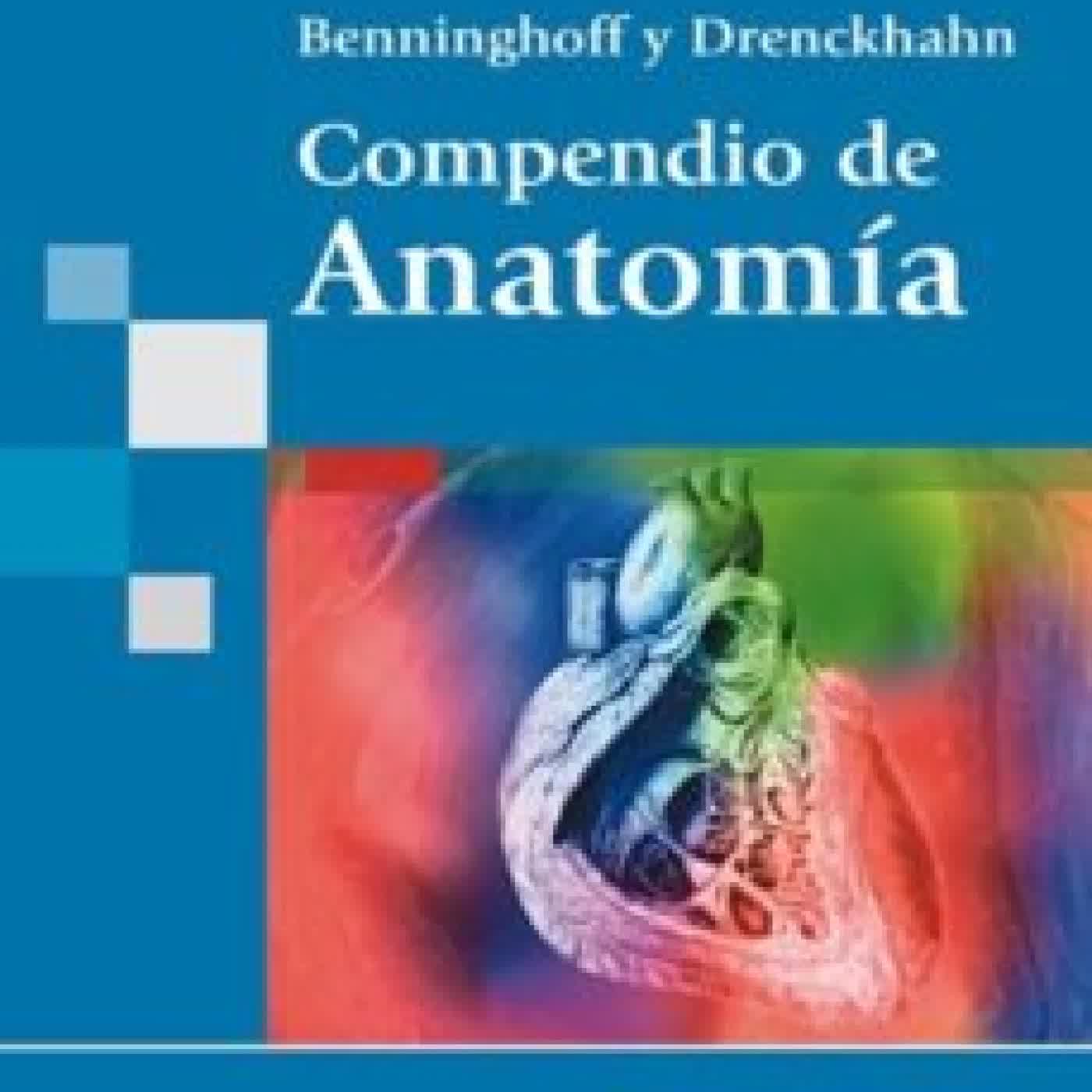 BENNINGHOFF Y DRENCKHAHN: COMPENDIO DE ANATOMIA DETLEV DRENCKHAHN, JENS WASCHKE