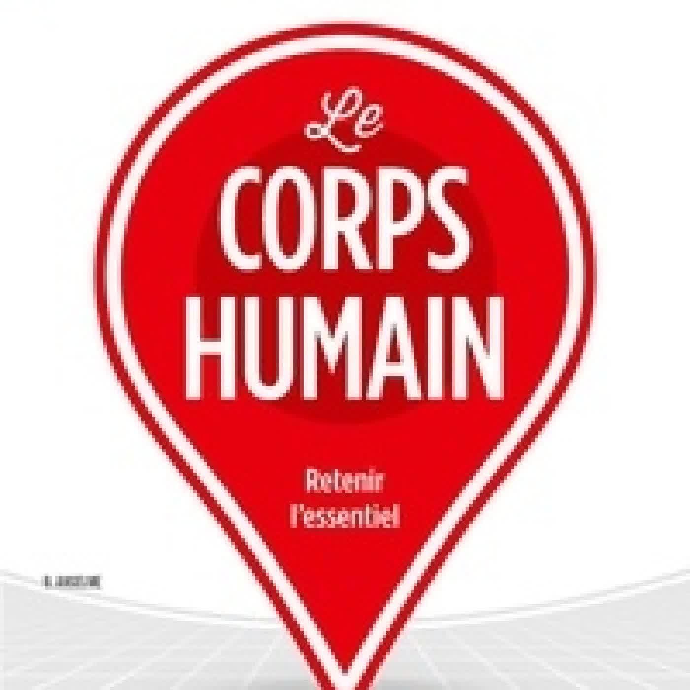 {téléchargement} Le corps humain Edition 2025