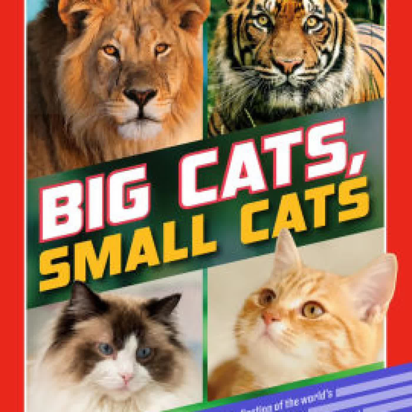 Read online: TIME for Kids: Big Cats, Small Cats: 101 Cats You Need to Know! by Kitson Jazynka