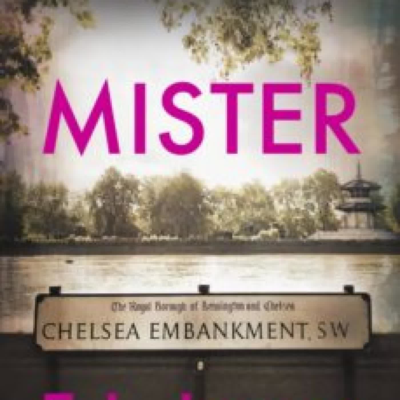 MISTER (EDICIÓN EN CASTELLANO) (MISTER 1) E.L. James