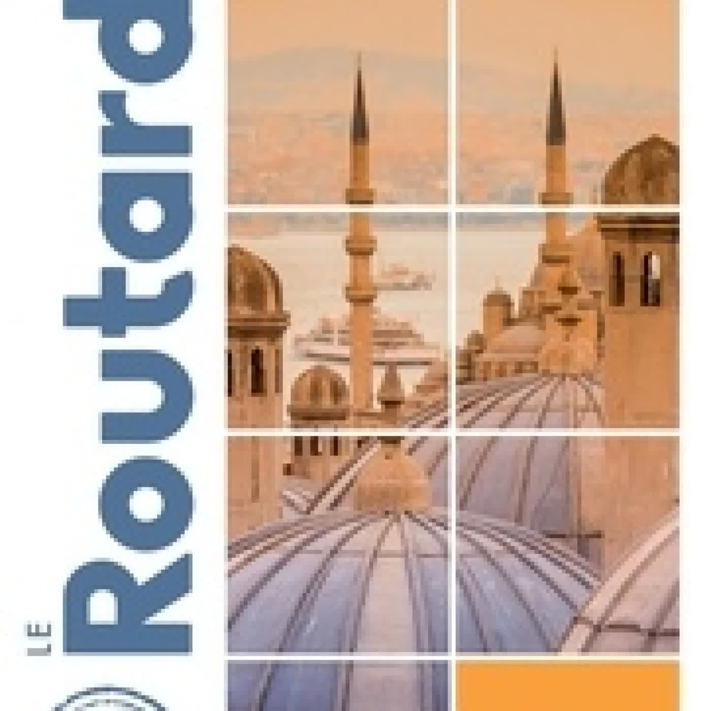 Lire en ligne : Guide du Routard Istanbul 2020/21