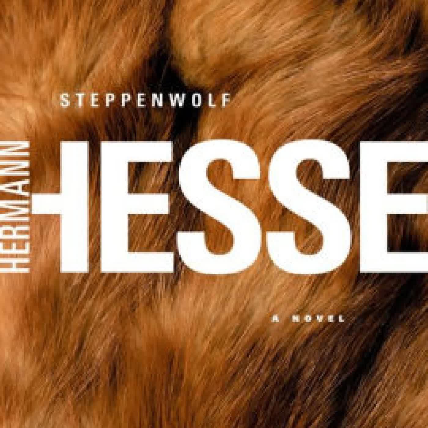 Steppenwolf: A Novel by Hermann Hesse, Kurt Beals on Iphone New Format