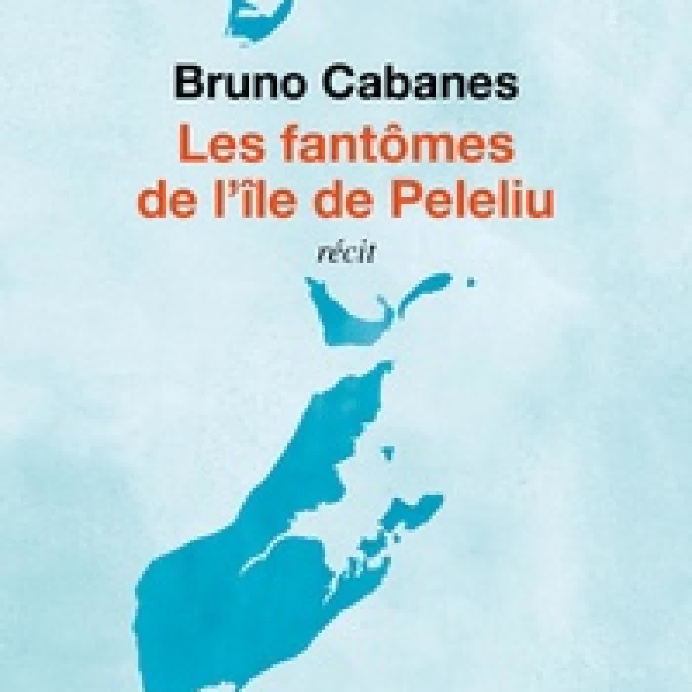 {téléchargement} Les fantômes de l'île de Peleliu