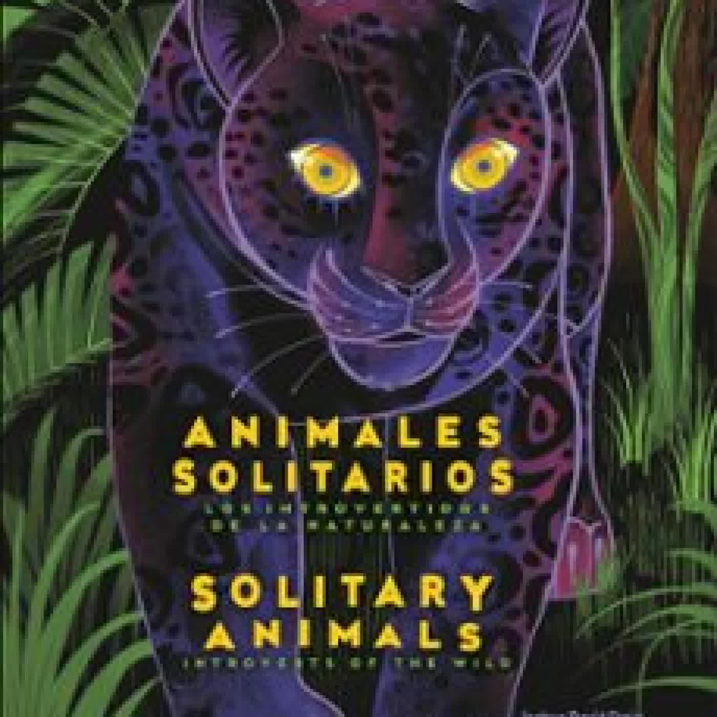 SOLITARY ANIMALS: INTROVERTS OF THE WILD/ANIMALES SOLITARIOS: LOS INTROVERTIDOS DE LA NATURALEZA(BILINGUAL ENGLISH-SPANISH EDITION) JOSHUA DAVID STEIN
