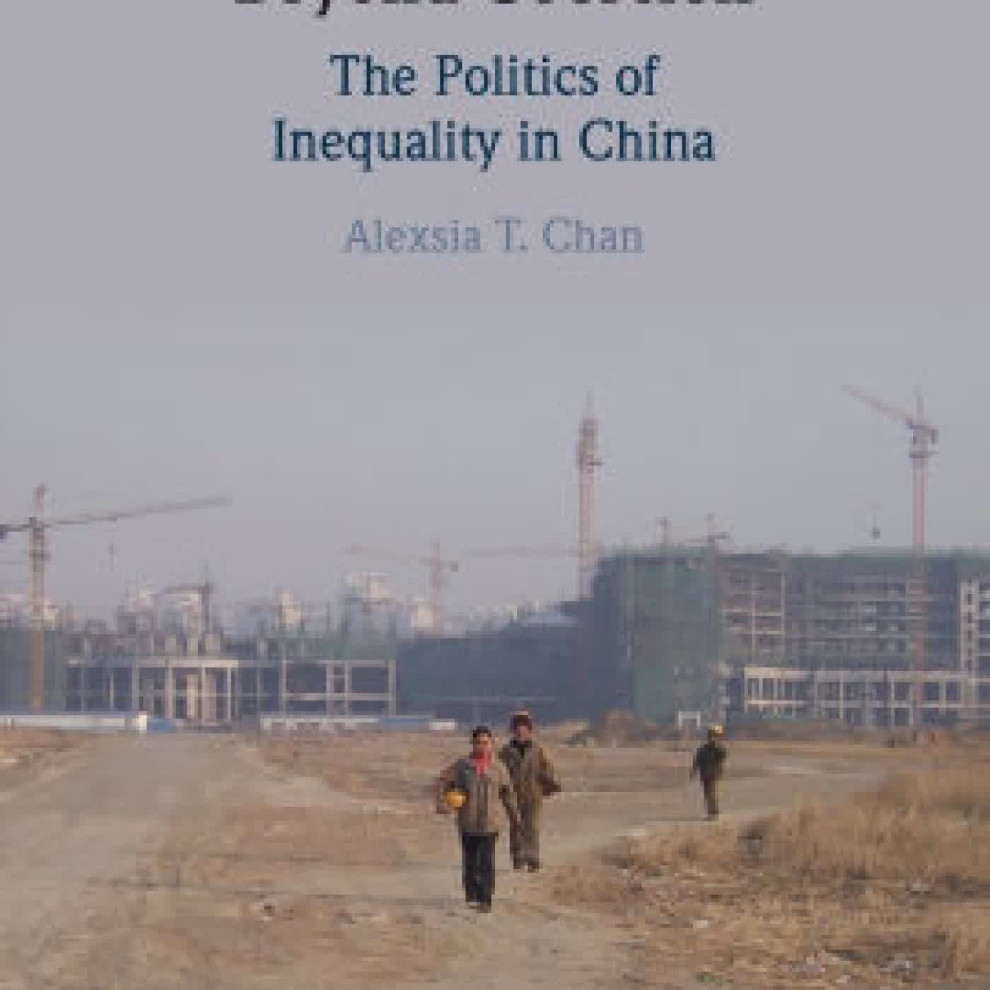 Beyond Coercion: The Politics of Inequality in China by Alexsia T. Chan on Iphone New Format