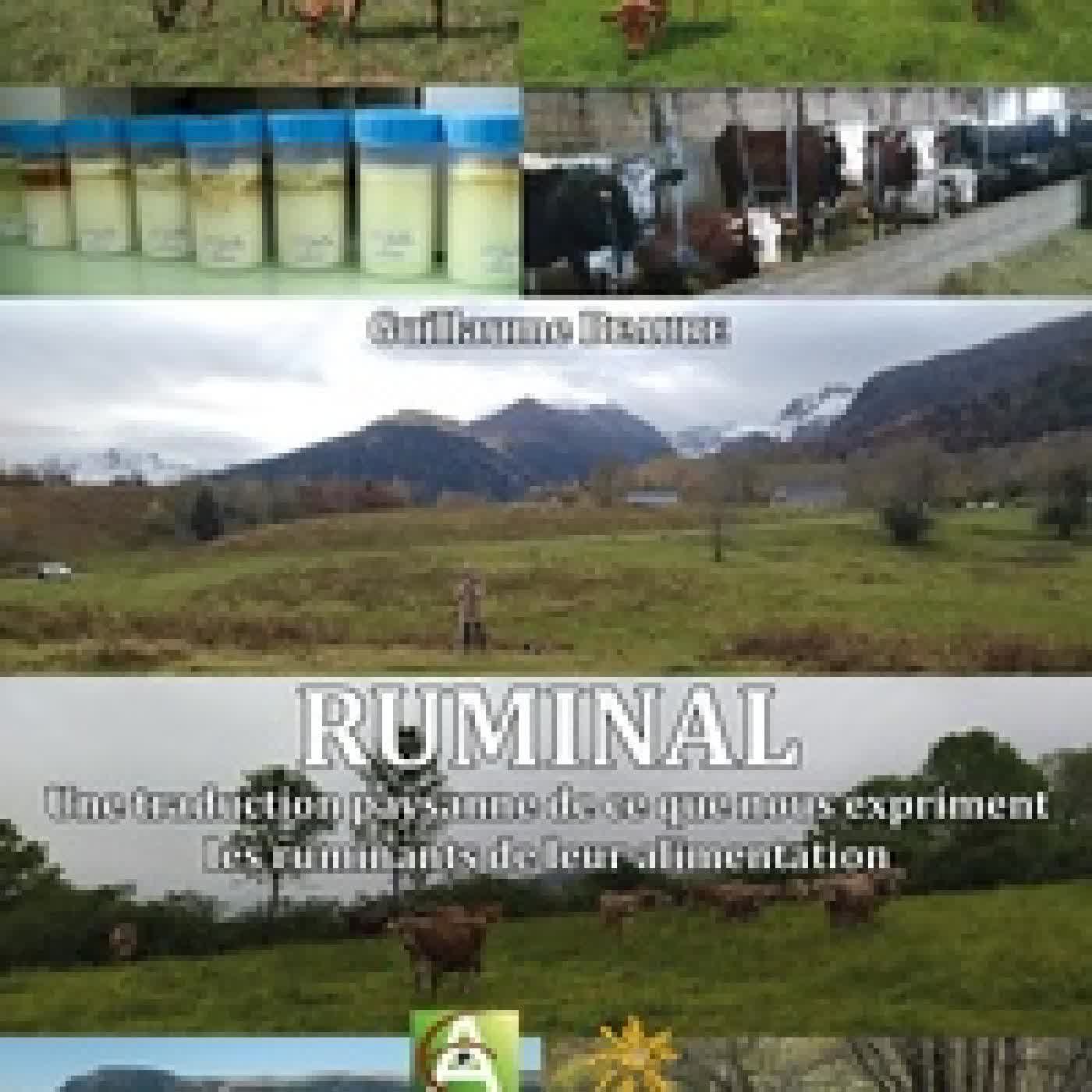 Télécharger Pdf Ruminal. Une traduction paysanne de ce que nous explique les ruminants de leur alimentation
