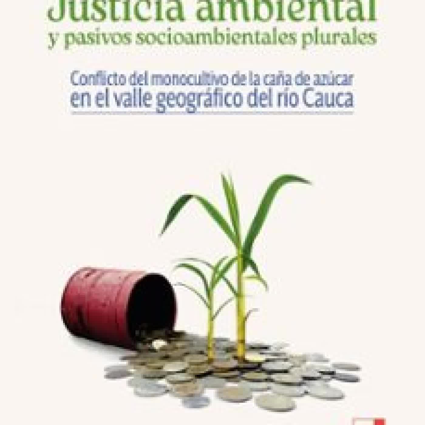 JUSTICIA AMBIENTAL Y PASIVOS SOCIOAMBIENTALES PLURALES ESTEBAN CORREA GARCÍA