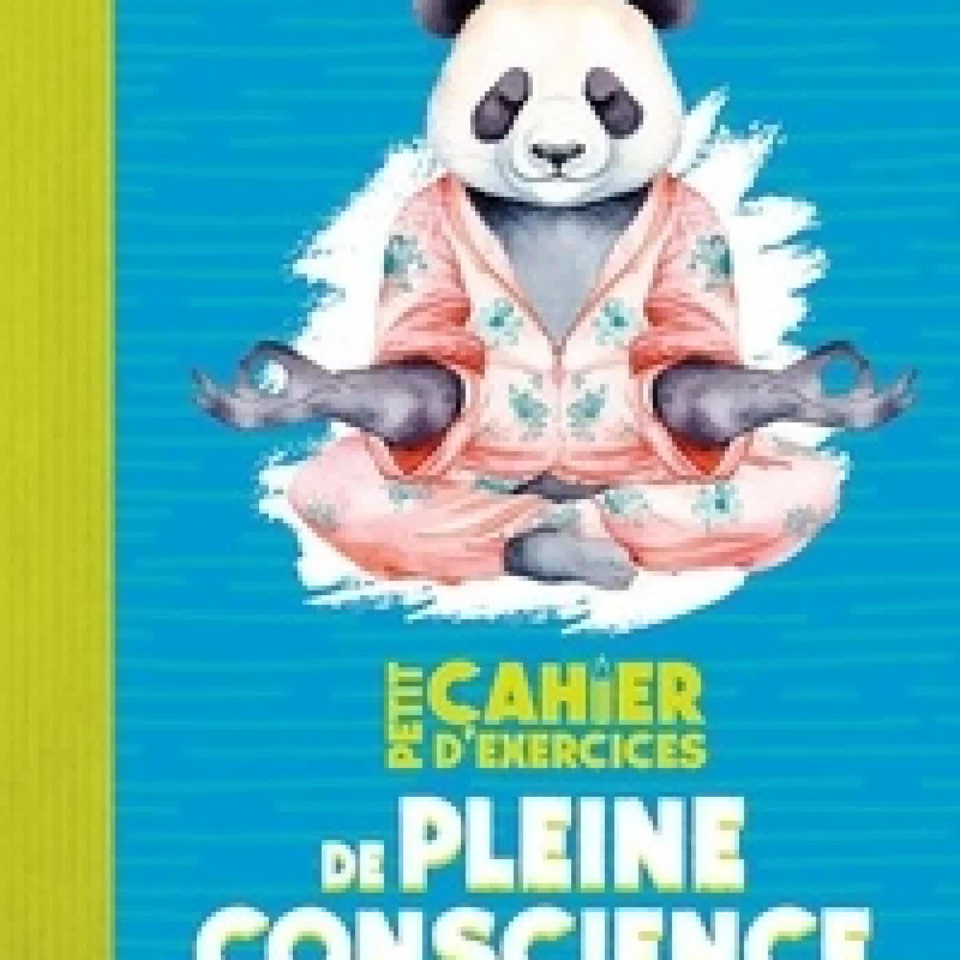 Lire en ligne : Petit Cahier d'exercices de pleine conscience