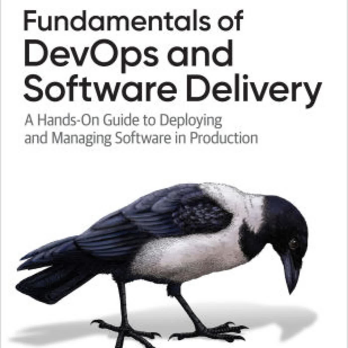 Fundamentals of DevOps and Software Delivery: A Hands-On Guide to Deploying and Managing Software in Production by Yevgeniy Brikman on Iphone New Format