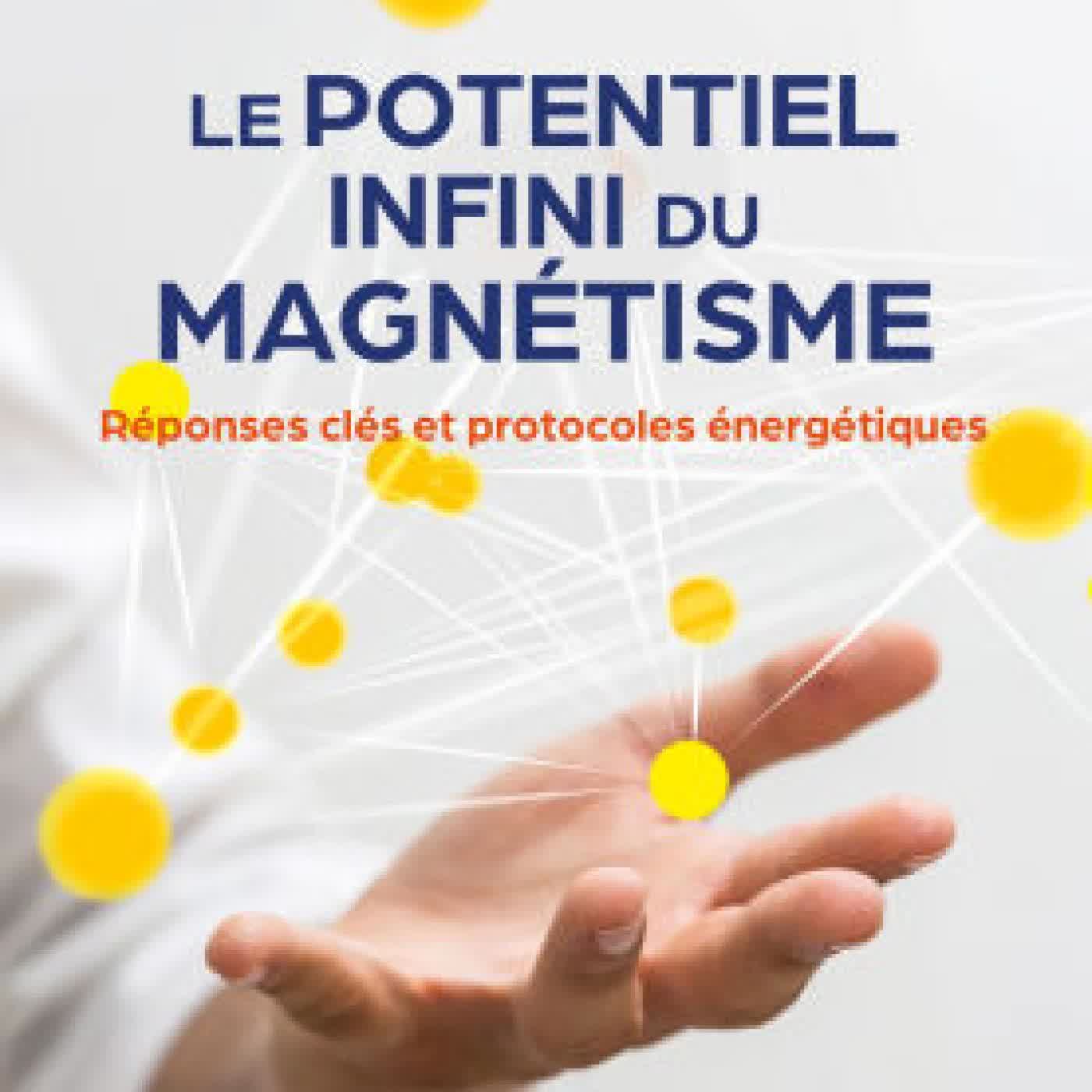 Read online: Le potentiel infini du magnétisme - Réponses clés et protocoles énergétiques by Florian Lucas