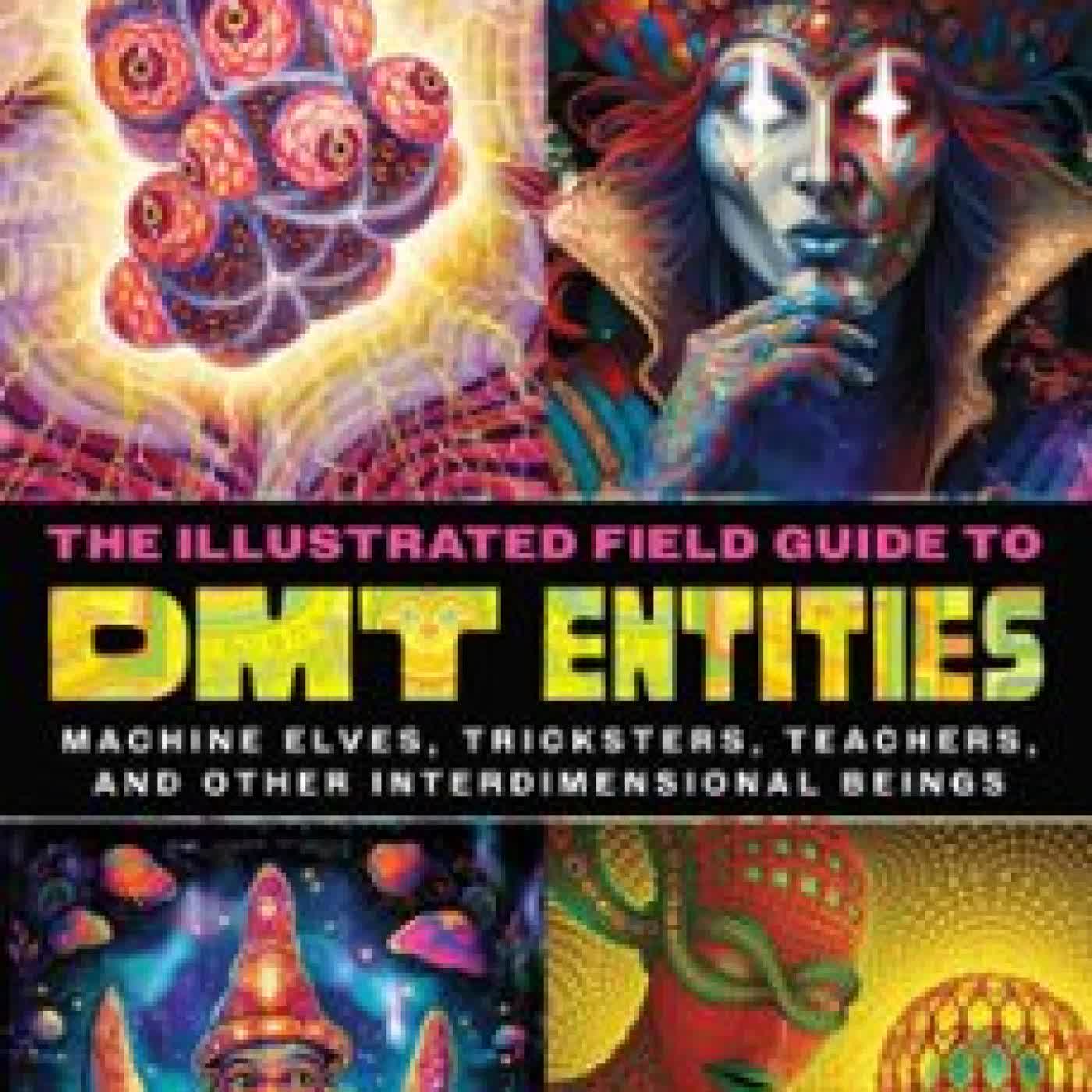 THE ILLUSTRATED FIELD GUIDE TO DMT ENTITIES DAVID JAY BROWN, SARA PHINN HUNTLEY