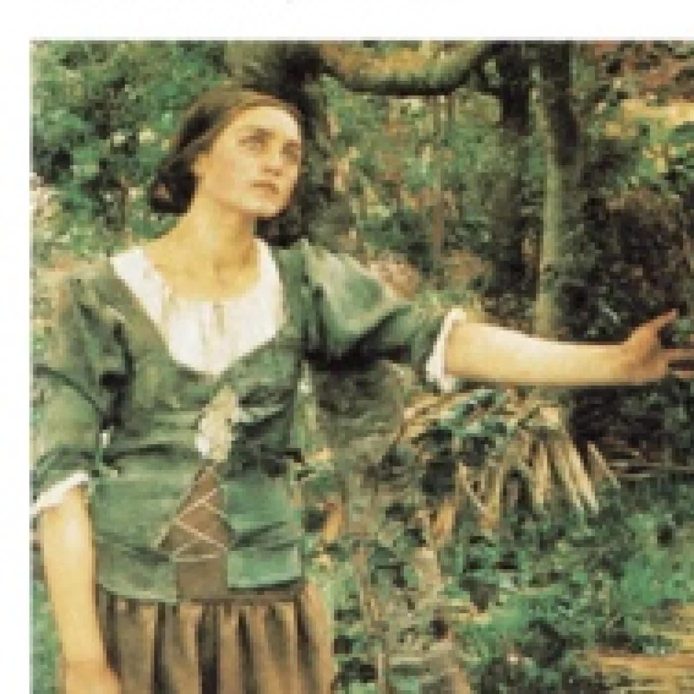 Télécharger Pdf Le mur invisible