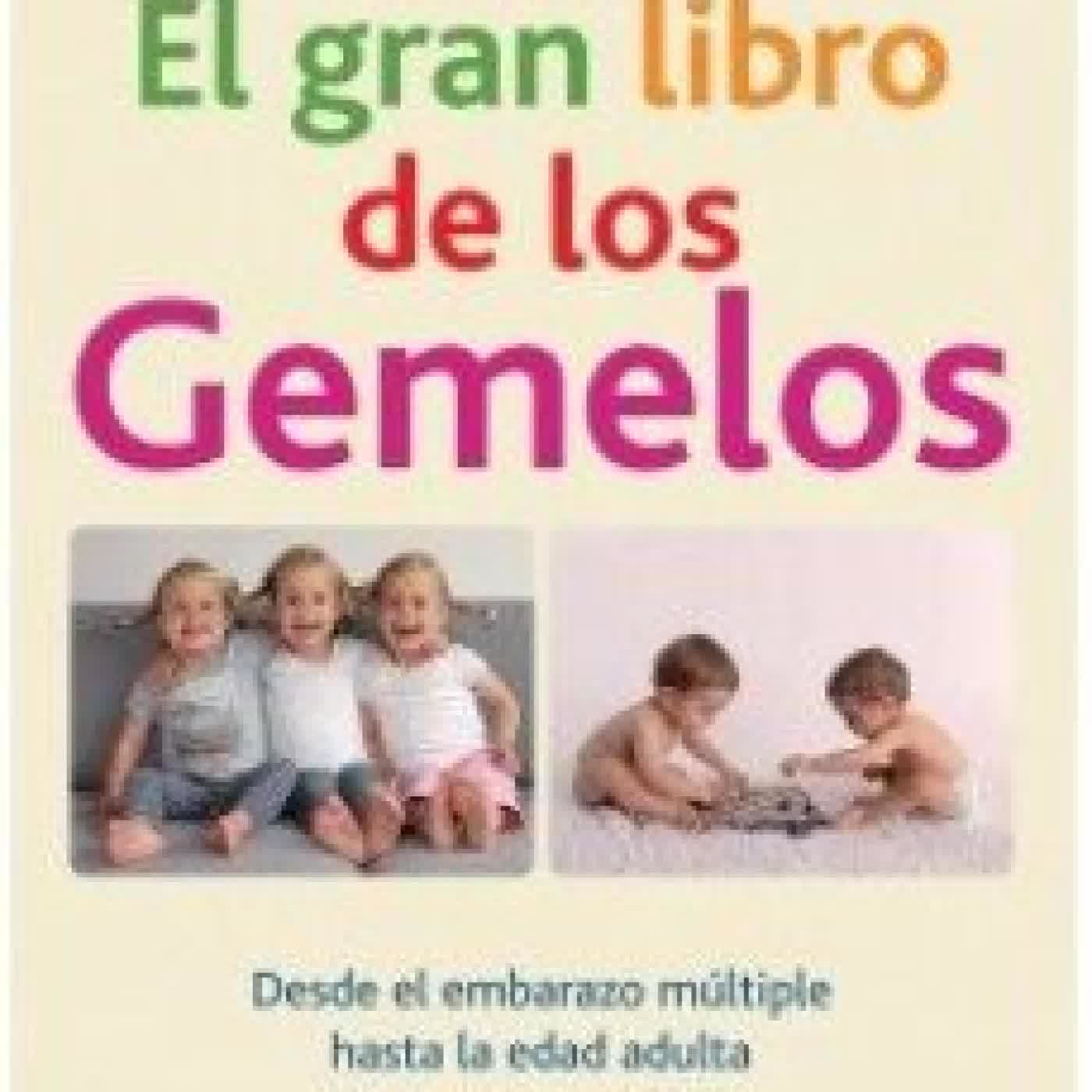EL GRAN LIBRO DE LOS GEMELOS (2ª EDICION) COKS FEENSTRA