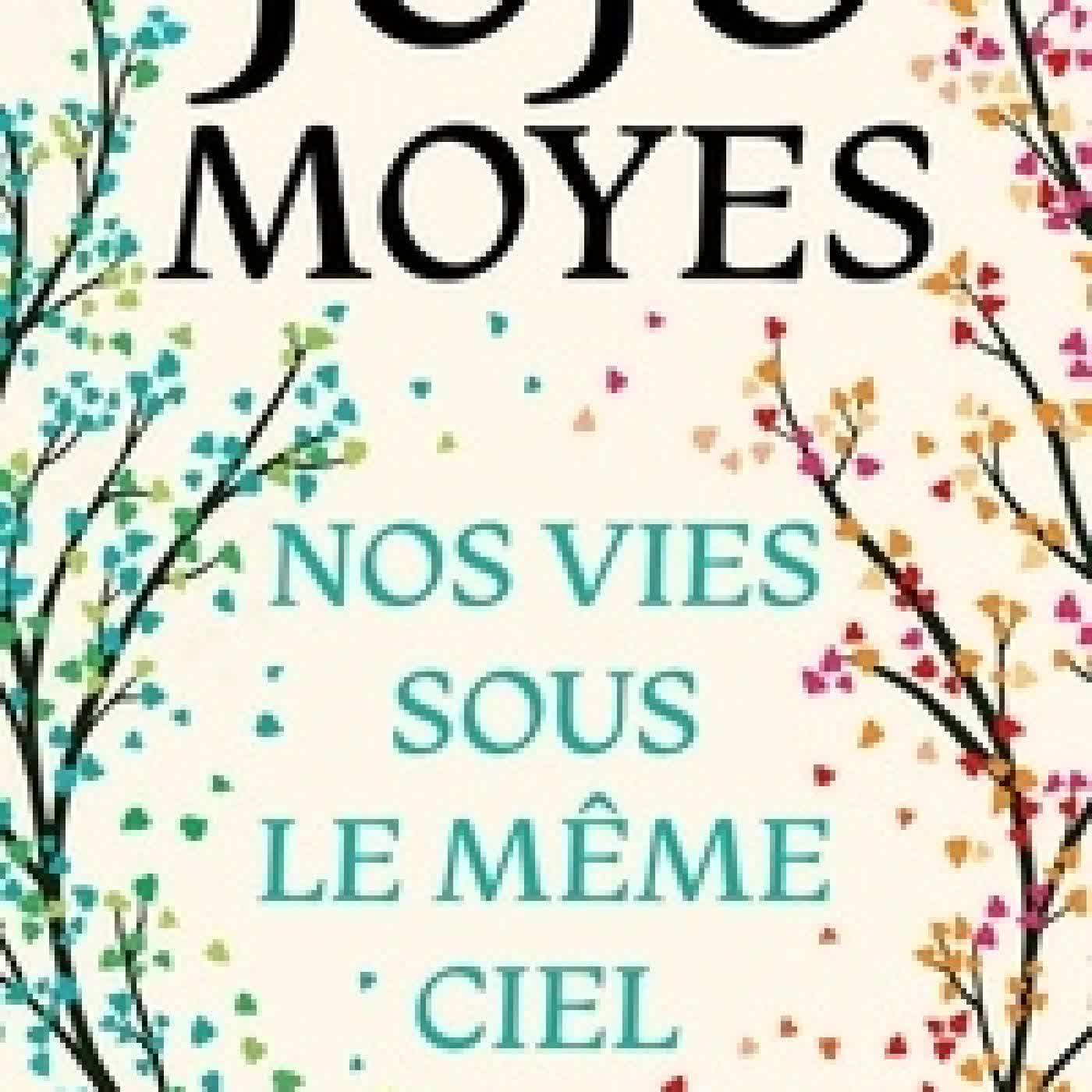 Lire en ligne : Nos vies sous le même ciel