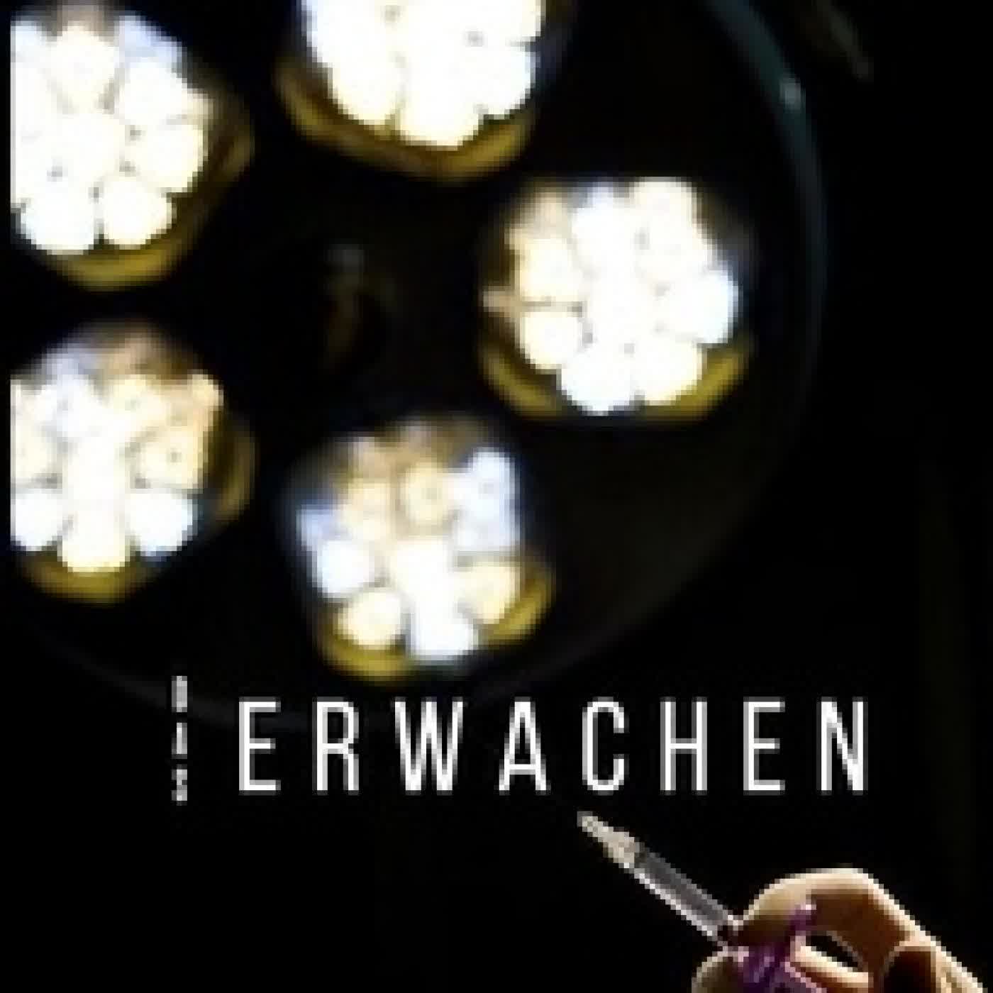 Télécharger Pdf Das Erwachen - Ein biografischer Roman über das Geschenk des Lebens