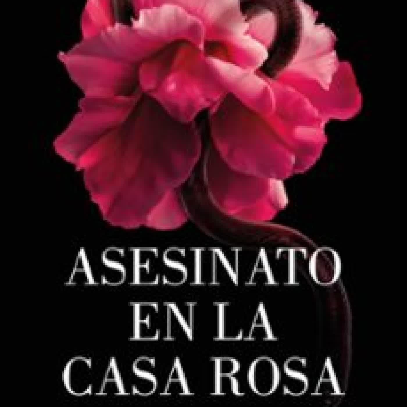 ASESINATO EN LA CASA ROSA (LOS CRÍMENES DE LOEIRO 1) Arantza Portabales