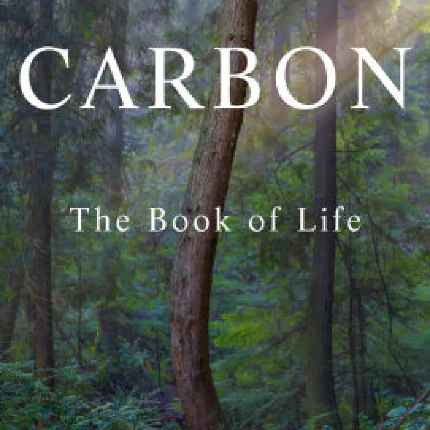 Read online: Carbon: The Book of Life by Paul Hawken