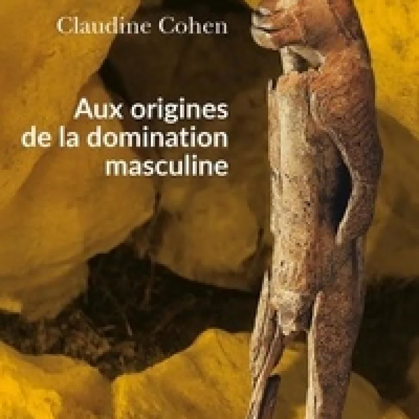 Télécharger Pdf Aux origines de la domination masculine