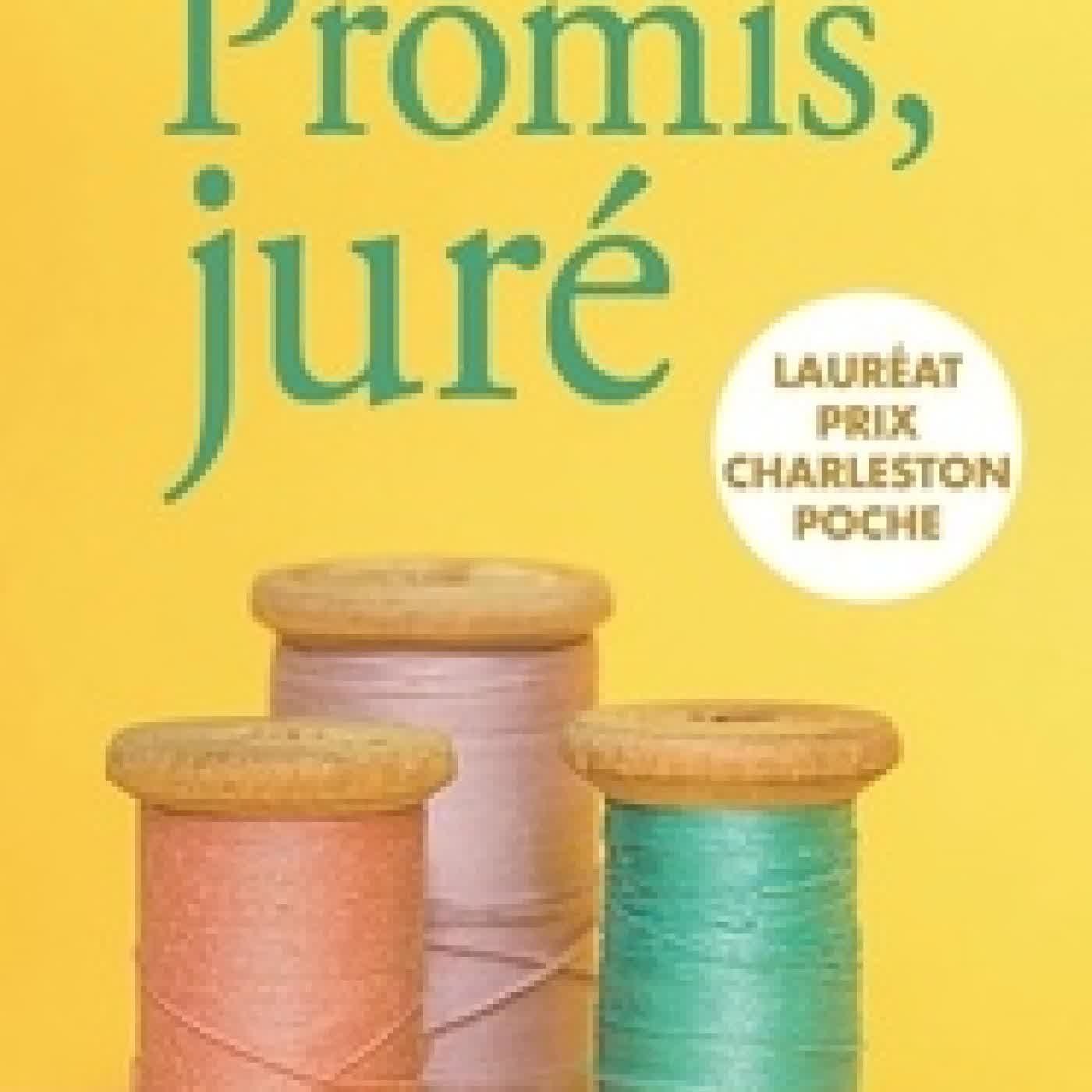 Lire en ligne : Promis, juré
