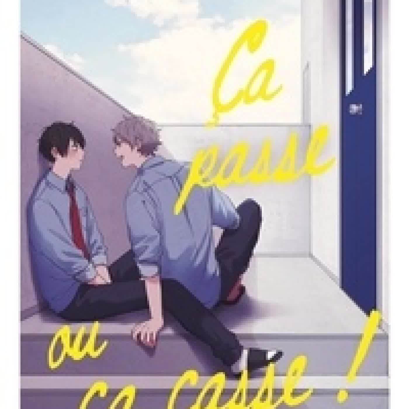 Lire en ligne : Ca passe ou ça casse !