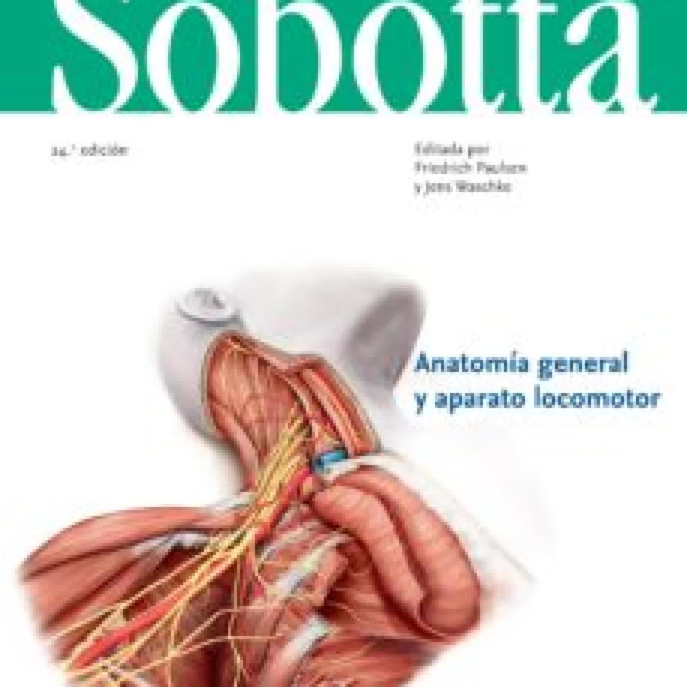 SOBOTTA. ATLAS DE ANATOMIA HUMANA VOL 1 (24ª ED.) F. PAULSEN