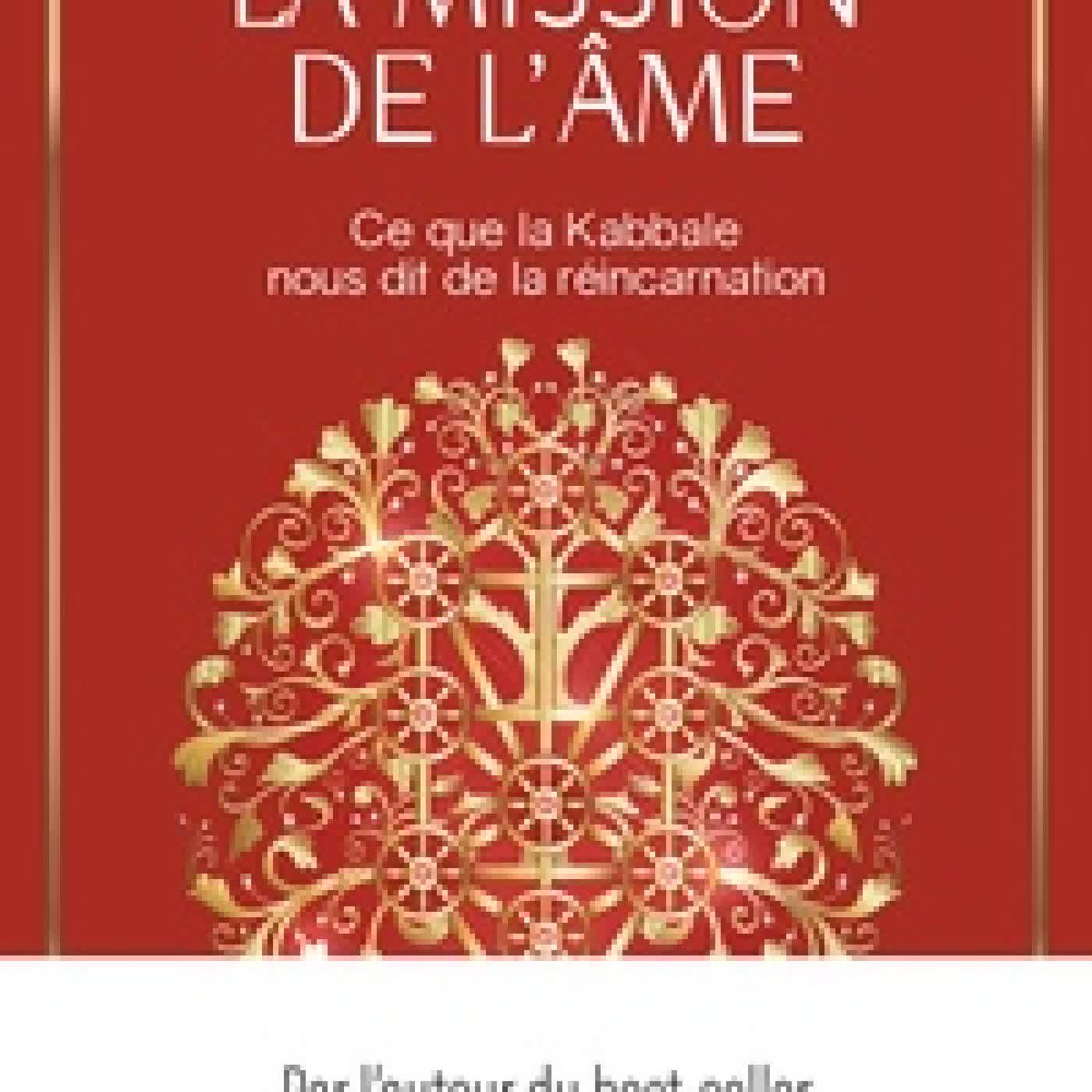 Lire en ligne : La mission de l'âme - Ce que la Kabbale nous dit de la réincarnation