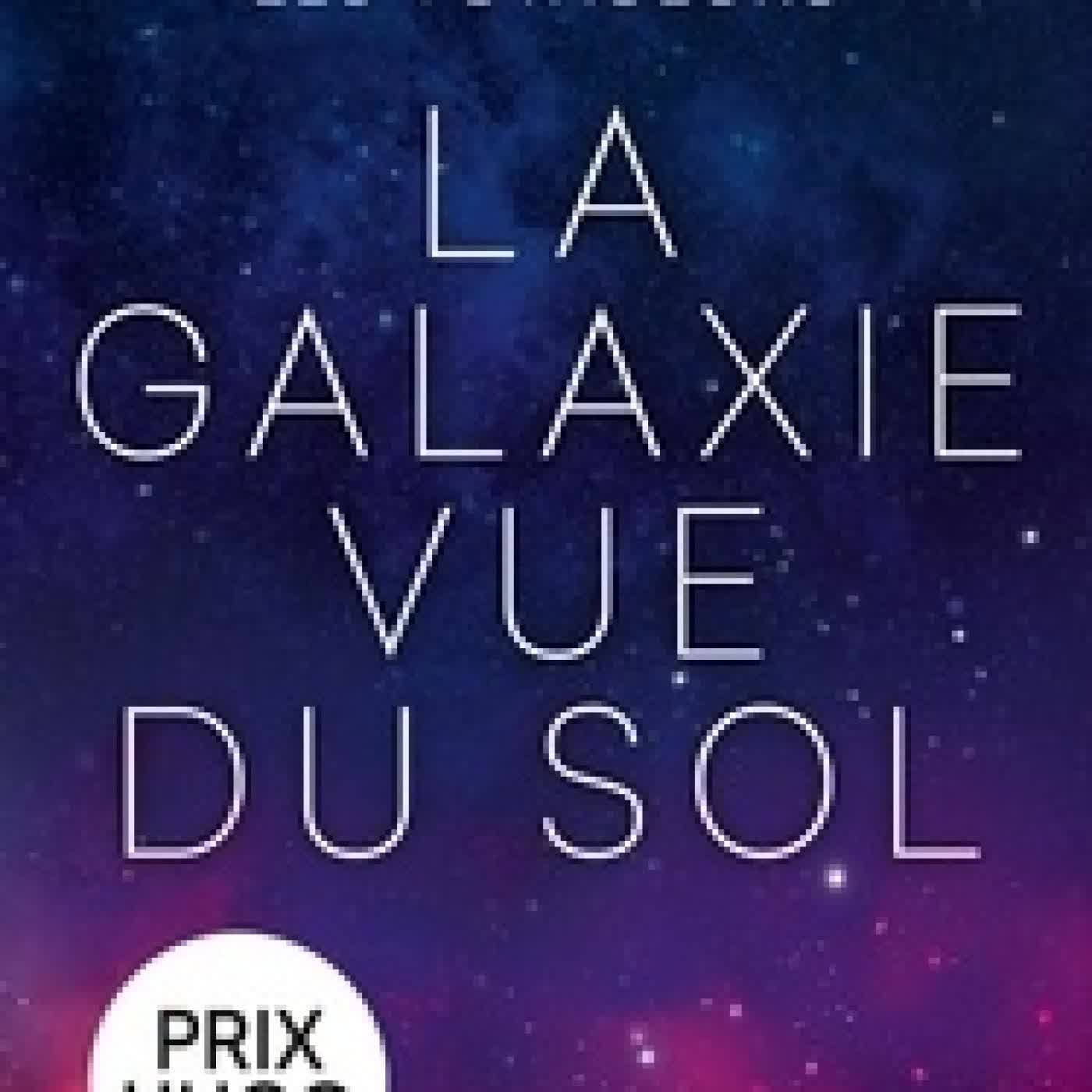 Lire en ligne : Les voyageurs Tome 4La galaxie vue du sol