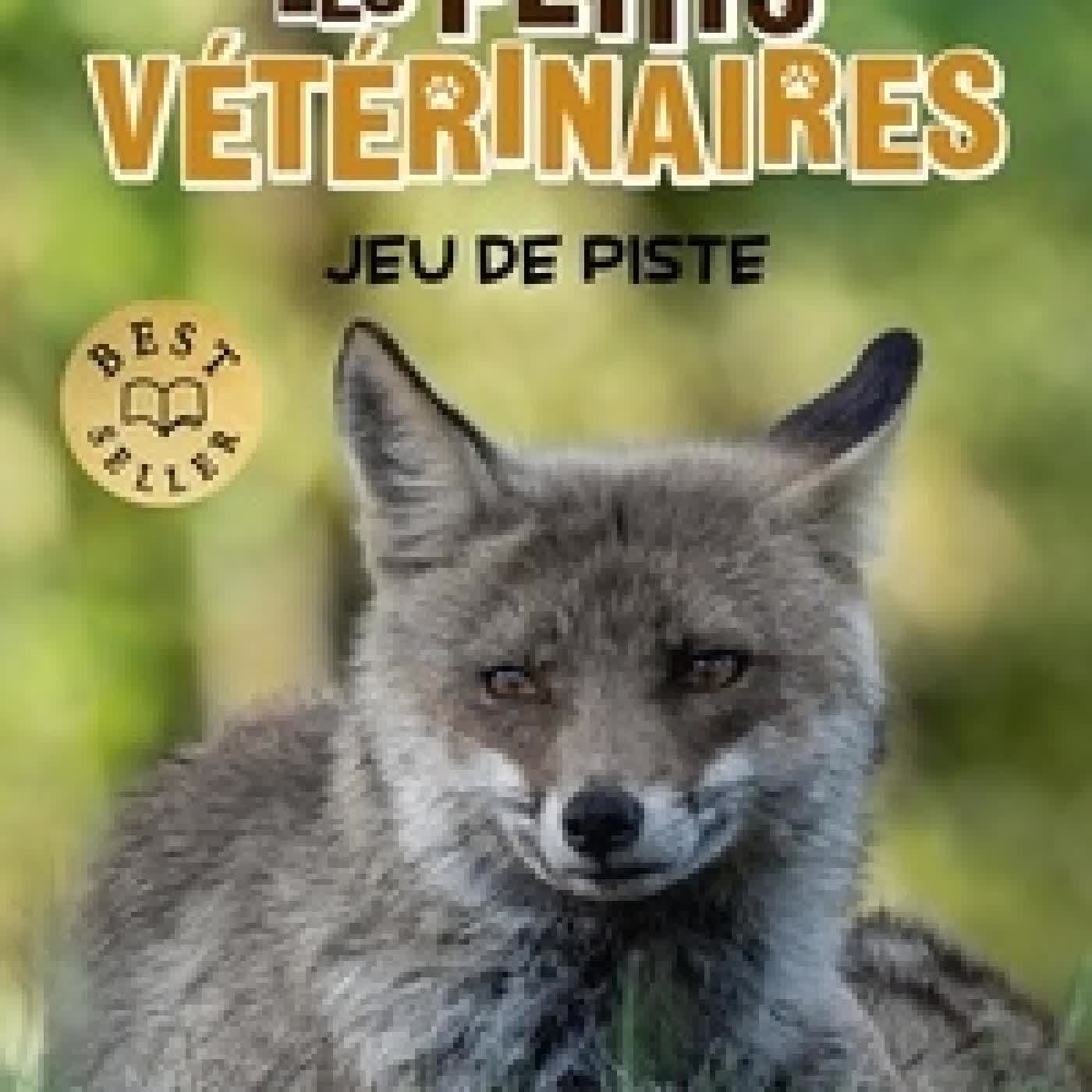 {téléchargement} Les Petits Vétérinaires Tome 32Jeu de piste