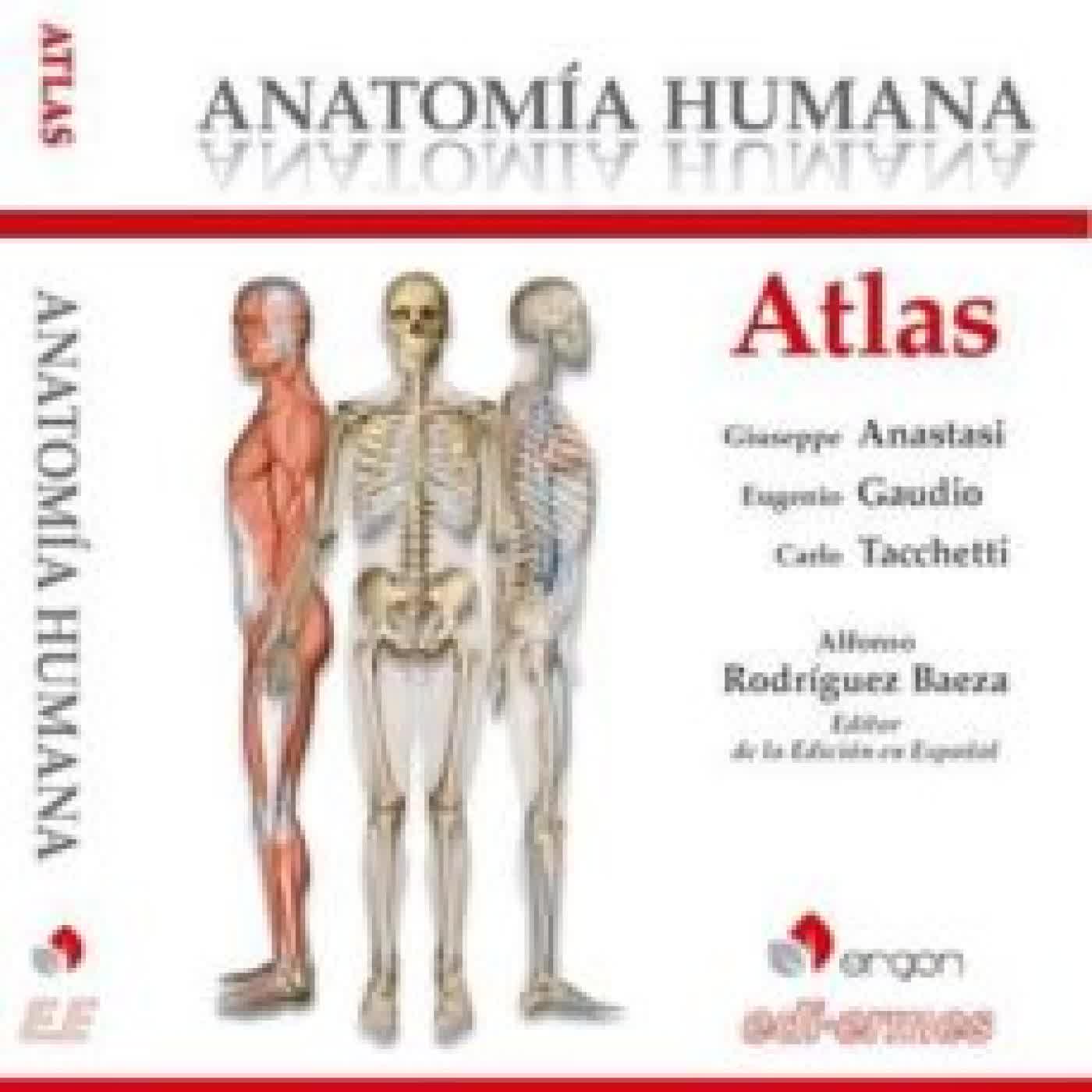 ATLAS ANATOMIA HUMANA GIUSEPPE ANASTASI, EUGENIO GAUDIO