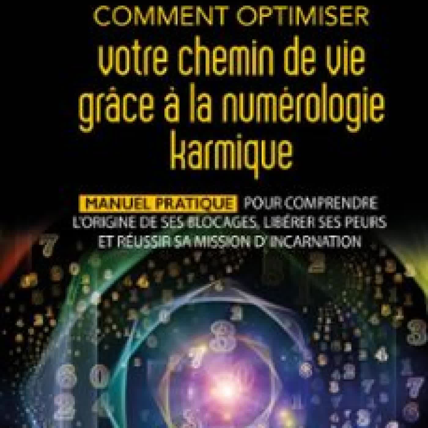 COMMENT OPTIMISER VOTRE CHEMIN DE VIE GRÂCE À LA NUMÉROLOGIE KARMIQUE - MANUEL PRATIQUE POUR COMPRENDRE L'ORIGINE DE SES BLOCAGES, LIBÉRER SES PEURS ET RÉUSSIR SA MISSION D'INCARNATION DAVID MOGIEL