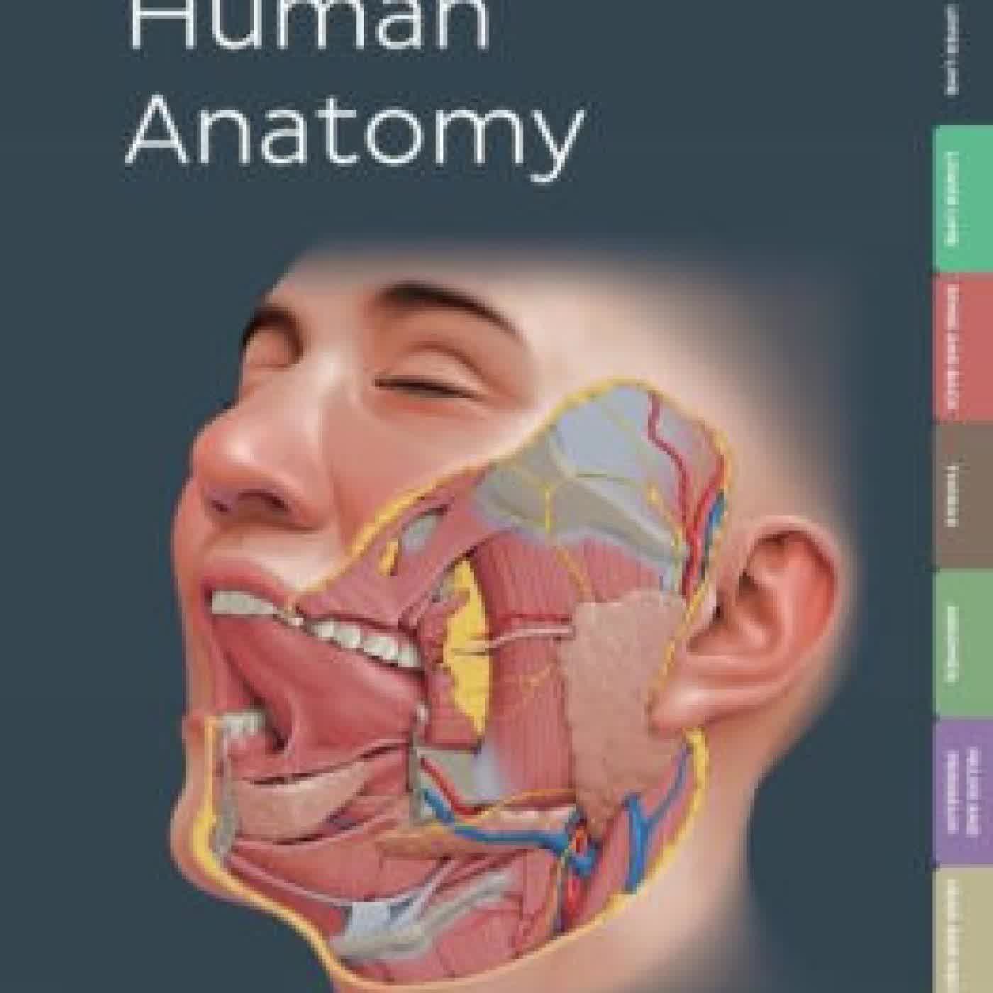 Kenhub Atlas of Human Anatomy by Kenhub on Iphone New Format