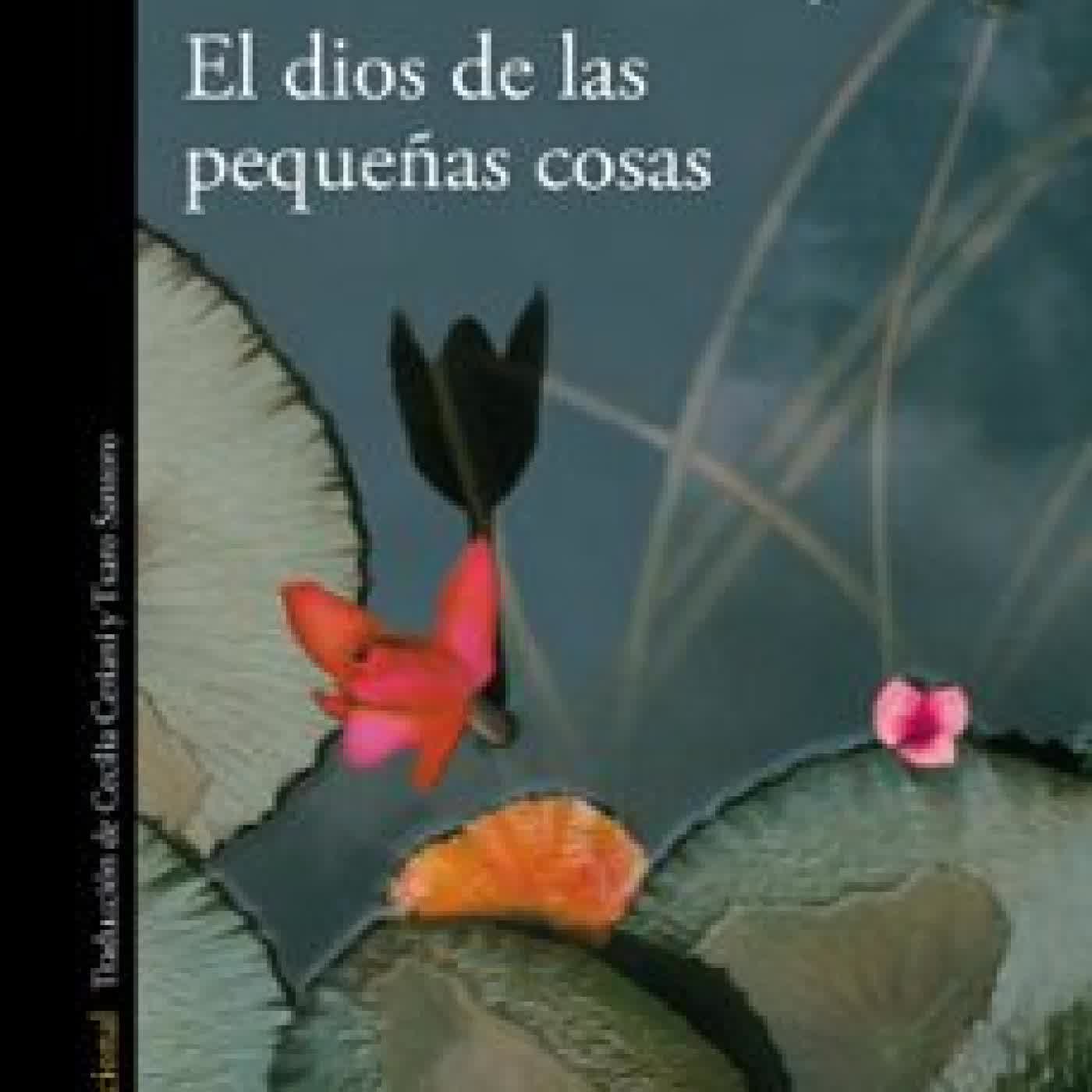 EL DIOS DE LAS PEQUEÑAS COSAS Arundhati Roy