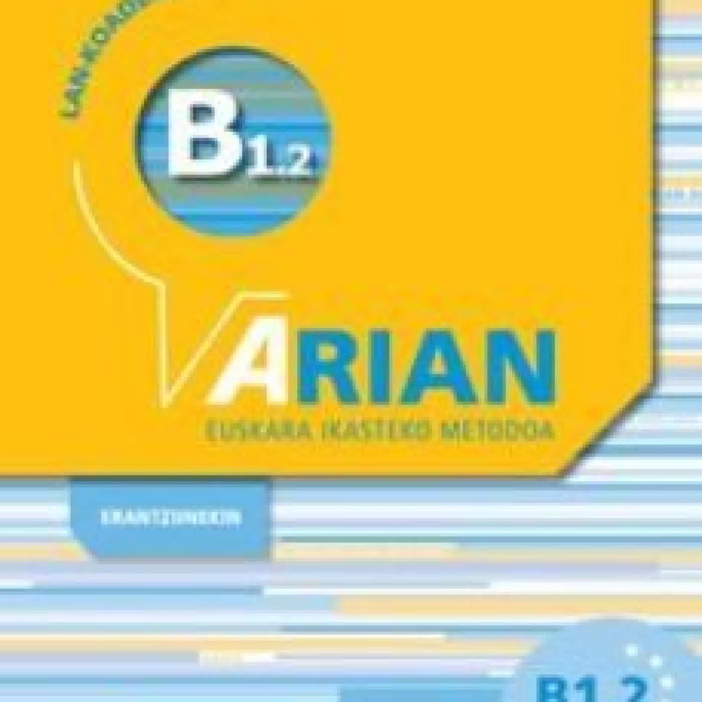 ARIAN B1.2 LAN-KOADERNOA BATZUK