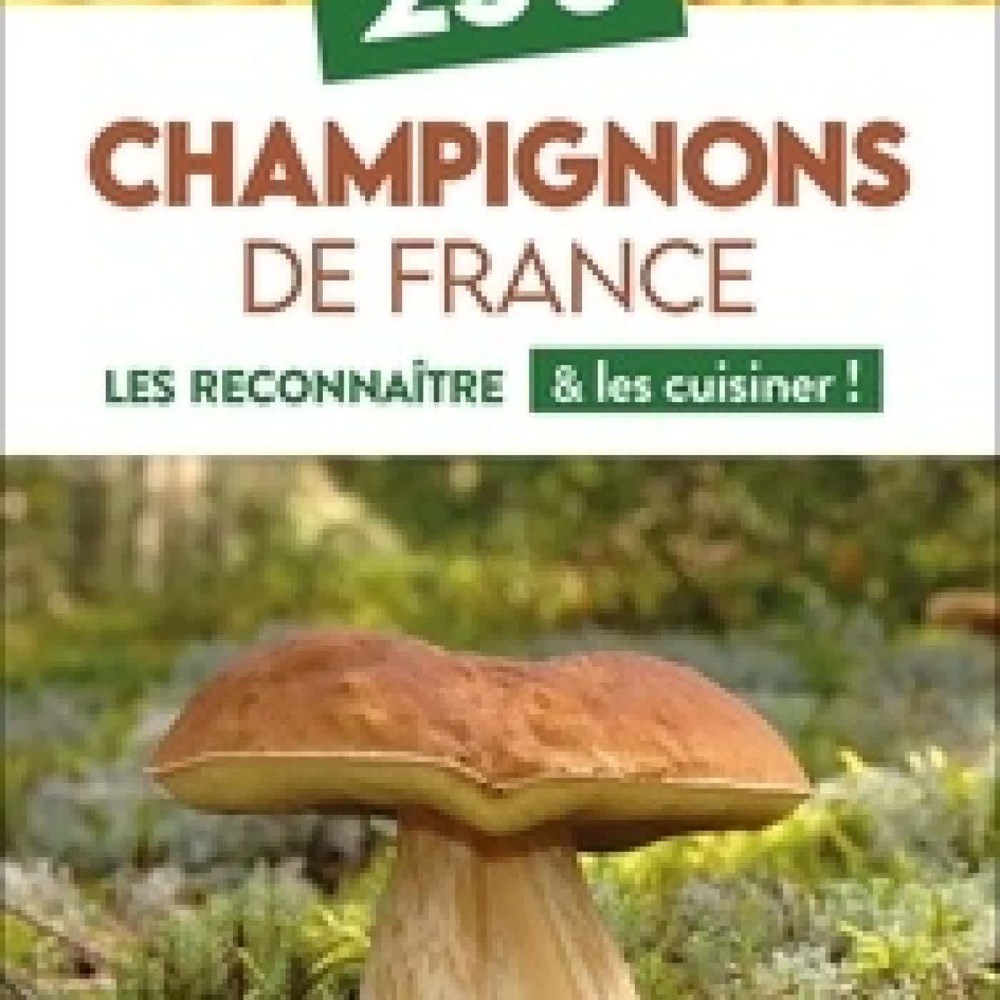Télécharger Pdf 250 Champignons de France. Les reconnaître & les cuisiner !