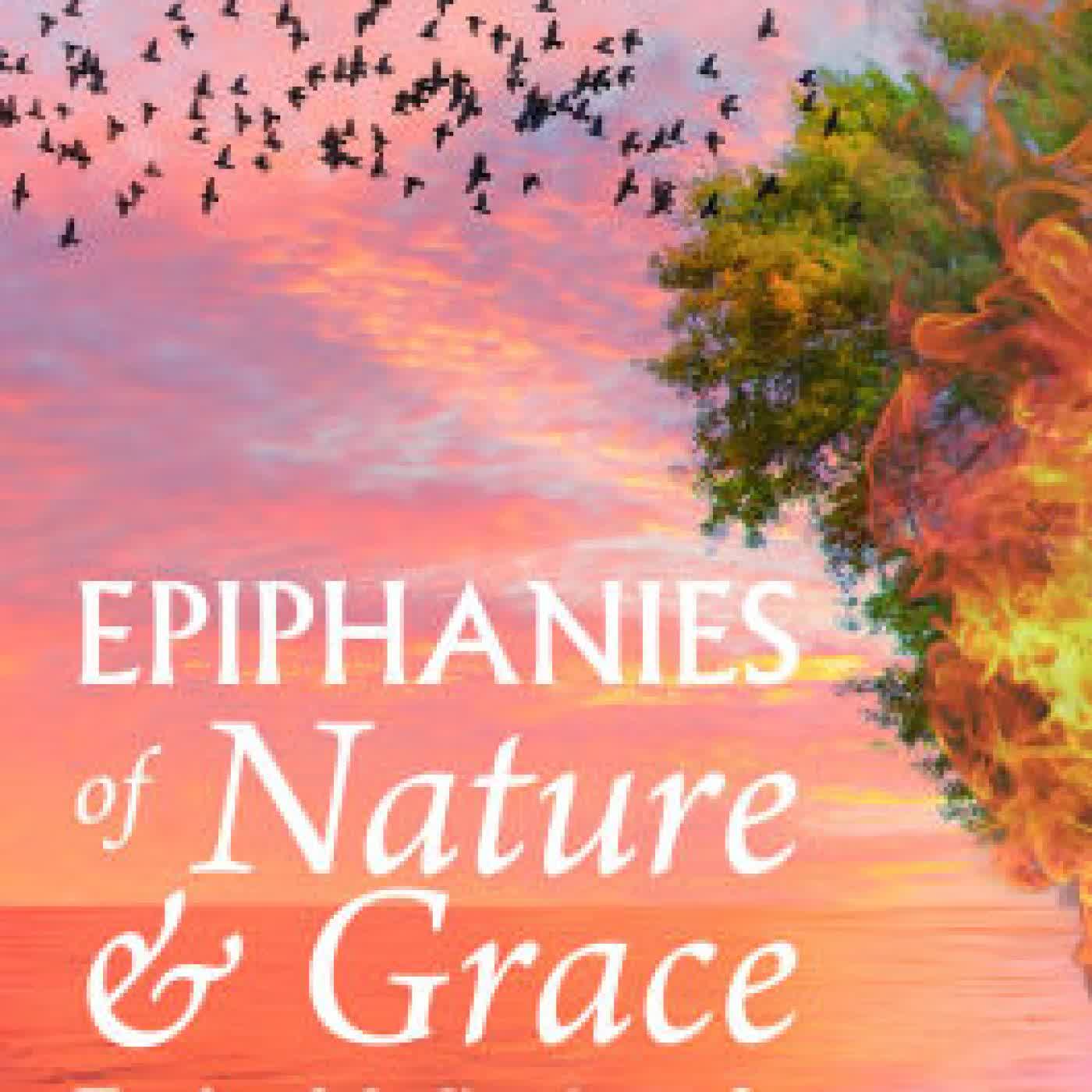 Read online: Epiphanies of Nature and Grace : Twelve Meditations from a Life in Dialogue by Cyprian Consiglio