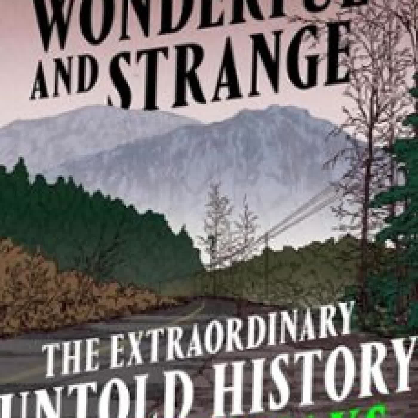 A PLACE BOTH WONDERFUL AND STRANGE SCOTT MESLOW