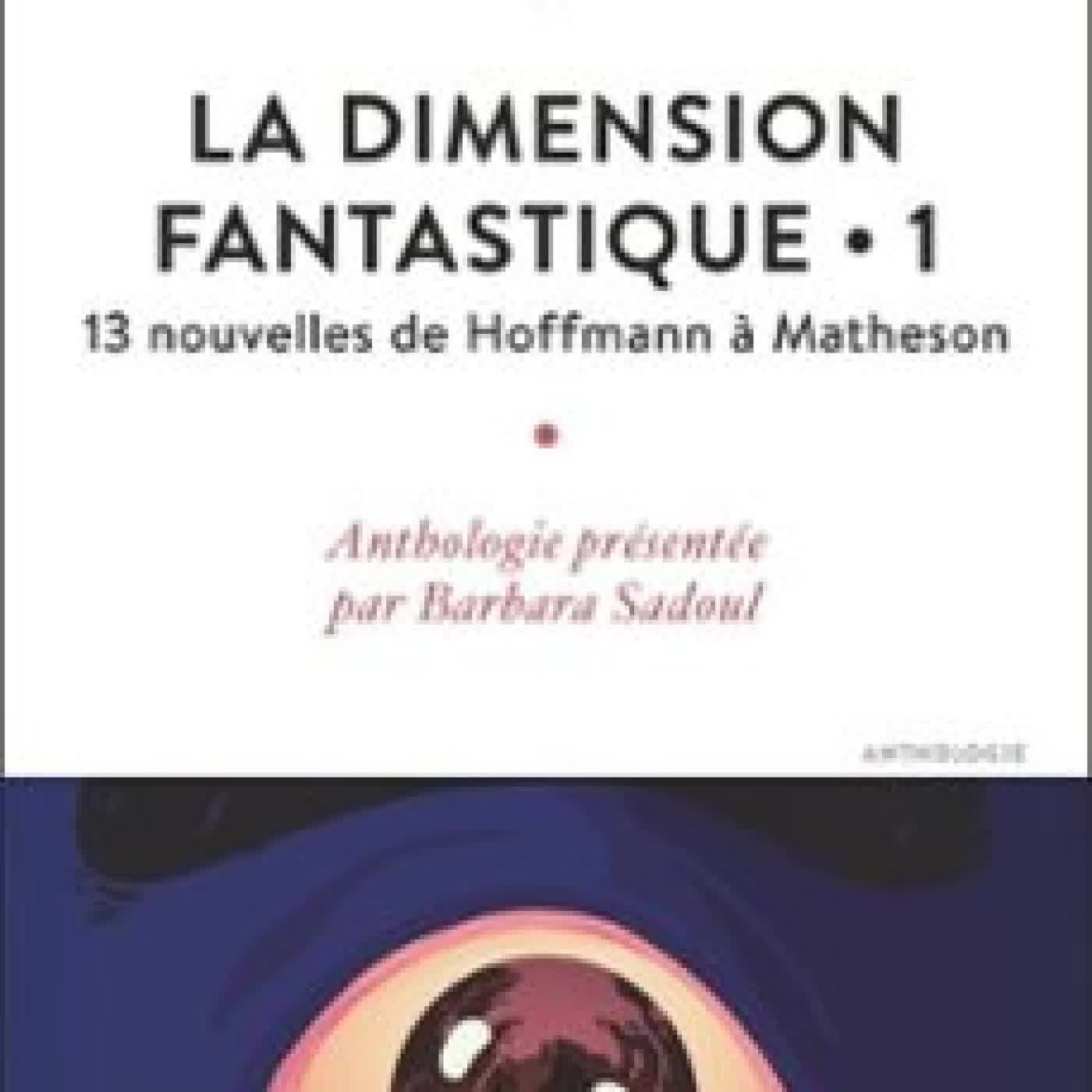 LA DIMENSION FANTASTIQUE (TOME 1) - 13 NOUVELLES DE HOFFMANN À MATHESON Collectif