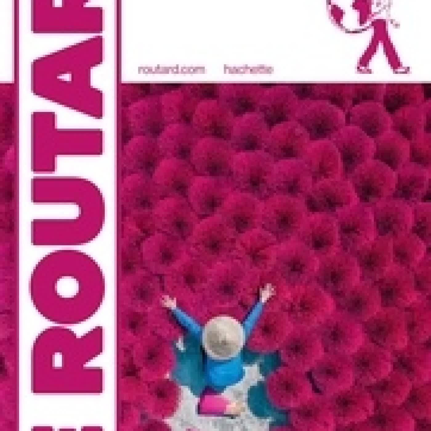 Lire en ligne : Guide du Routard Vietnam 2025/26