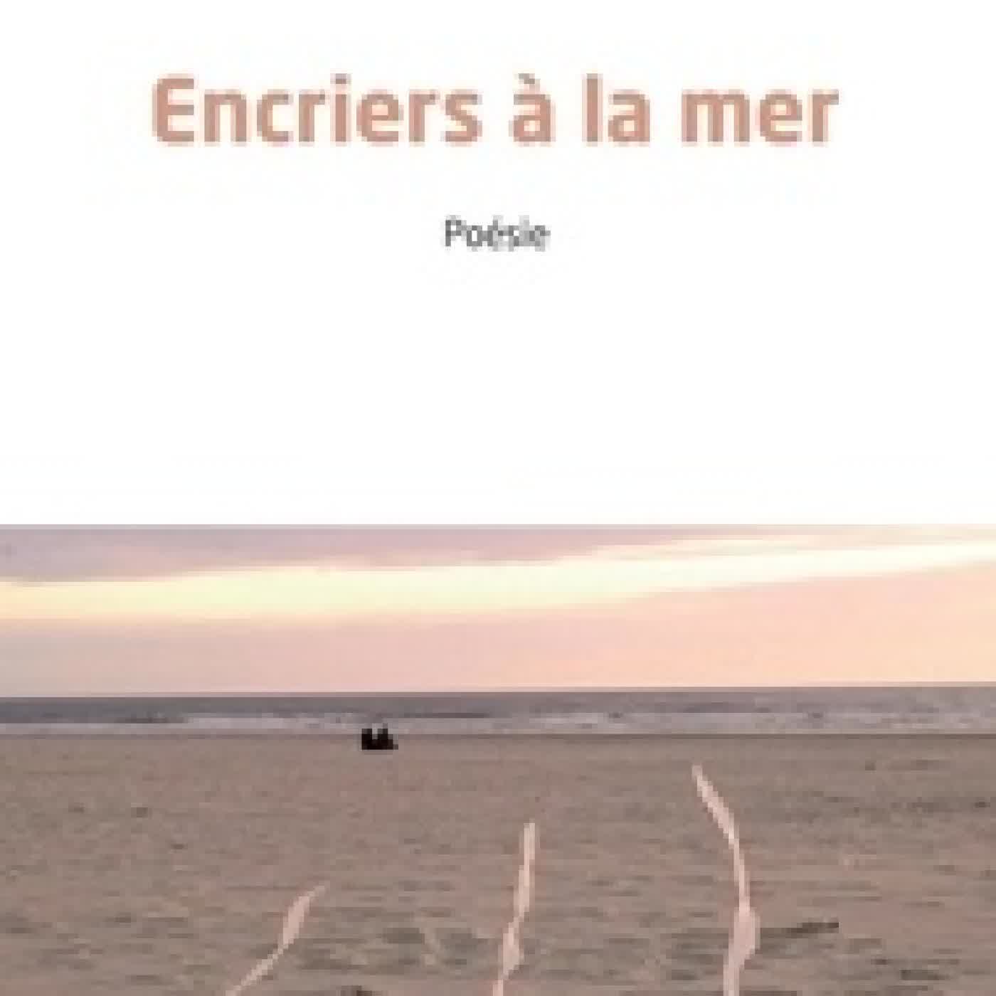 Télécharger Pdf Encriers à la mer