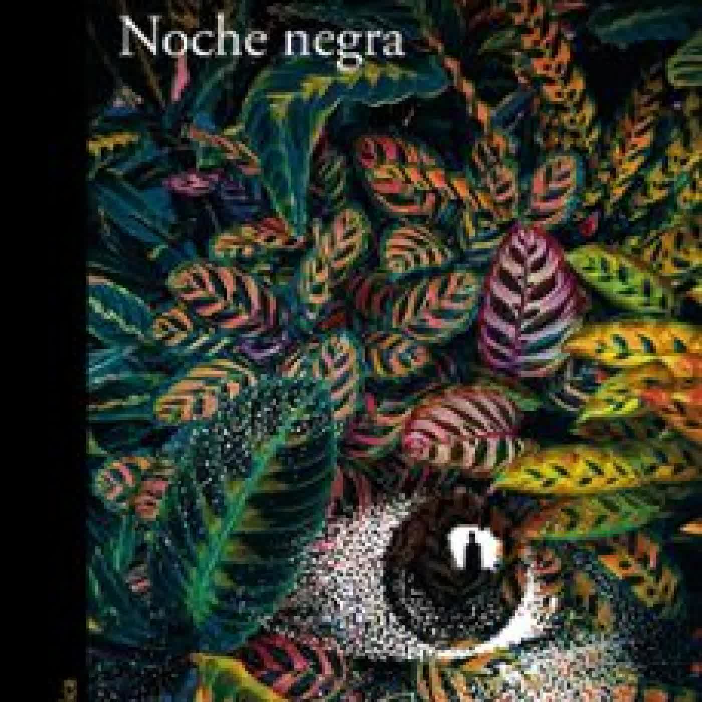 NOCHE NEGRA Pilar Quintana